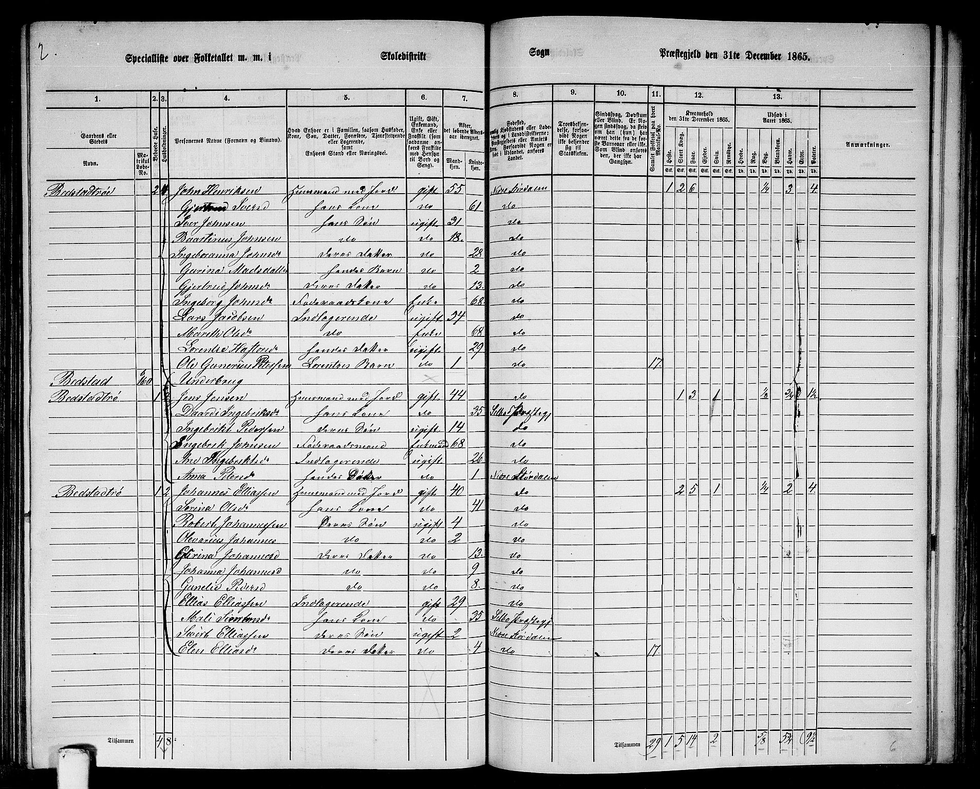 RA, 1865 census for Nedre Stjørdal, 1865, p. 203