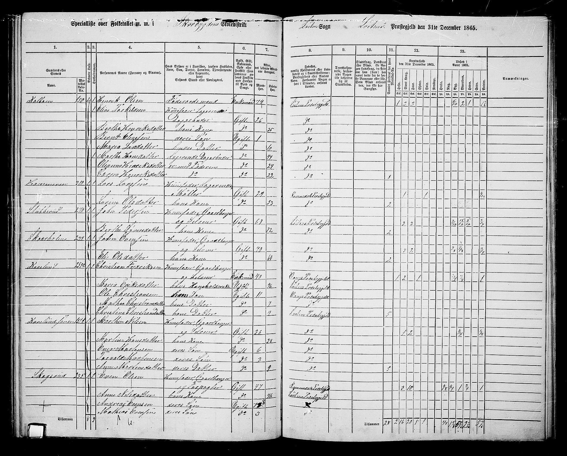 RA, 1865 census for Løten, 1865, p. 115