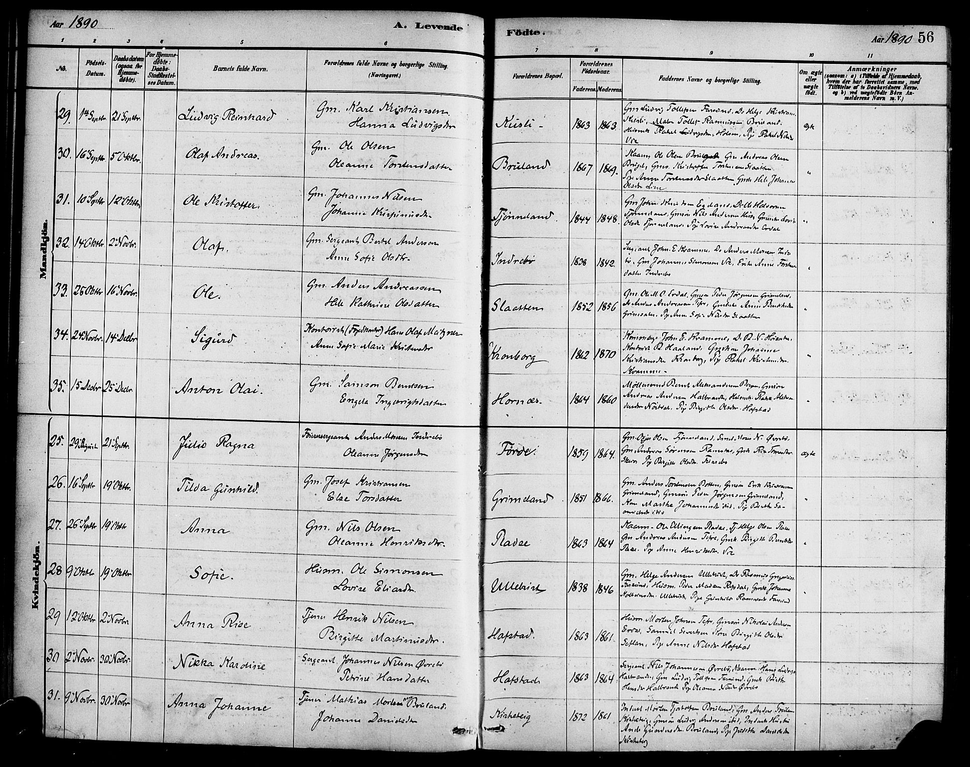Førde sokneprestembete, SAB/A-79901/H/Haa/Haab/L0001: Parish register (official) no. B 1, 1880-1898, p. 56