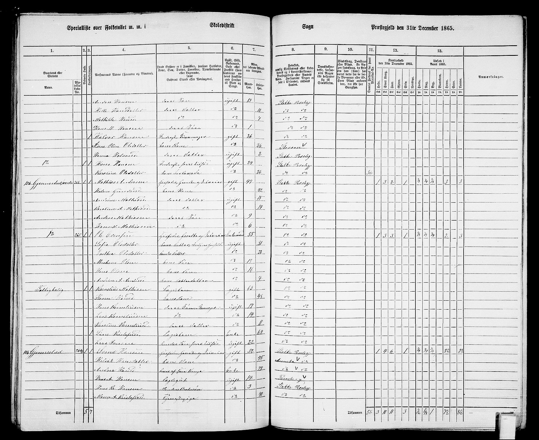 RA, 1865 census for Stokke, 1865, p. 139