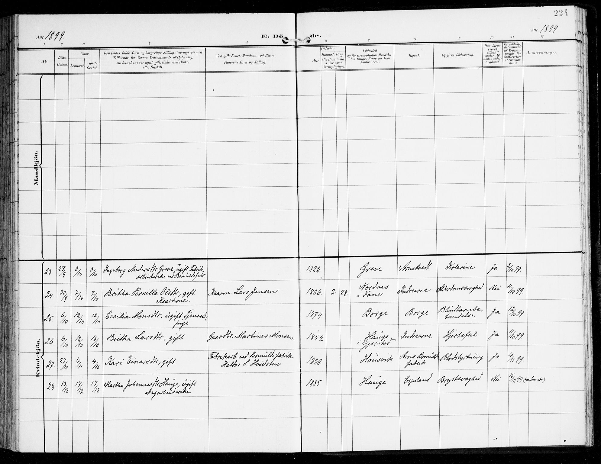 Haus sokneprestembete, AV/SAB-A-75601/H/Haa: Parish register (official) no. D 2, 1899-1912, p. 224