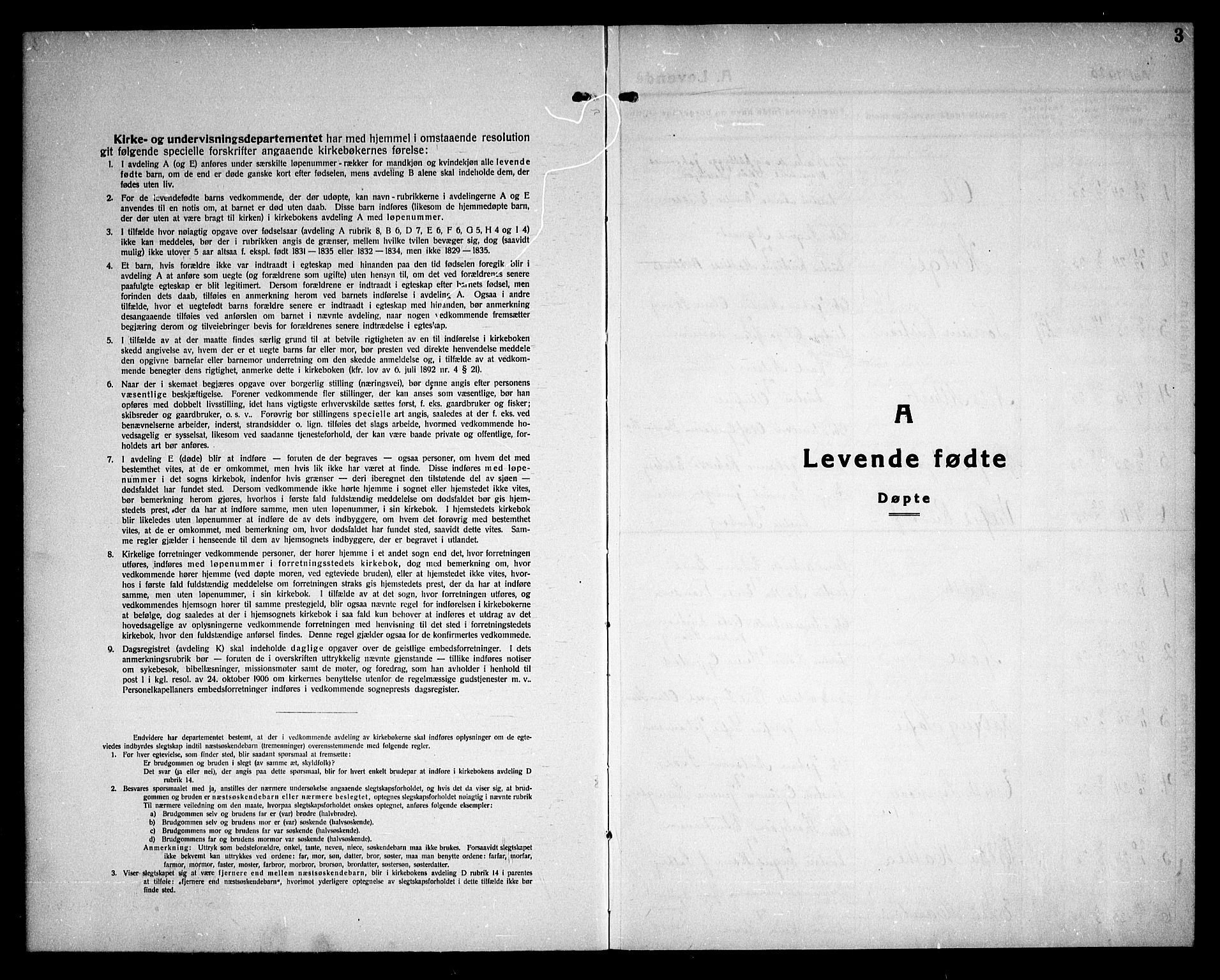 Skiptvet prestekontor Kirkebøker, AV/SAO-A-20009/G/Ga/L0004: Parish register (copy) no. 4, 1925-1934, p. 3