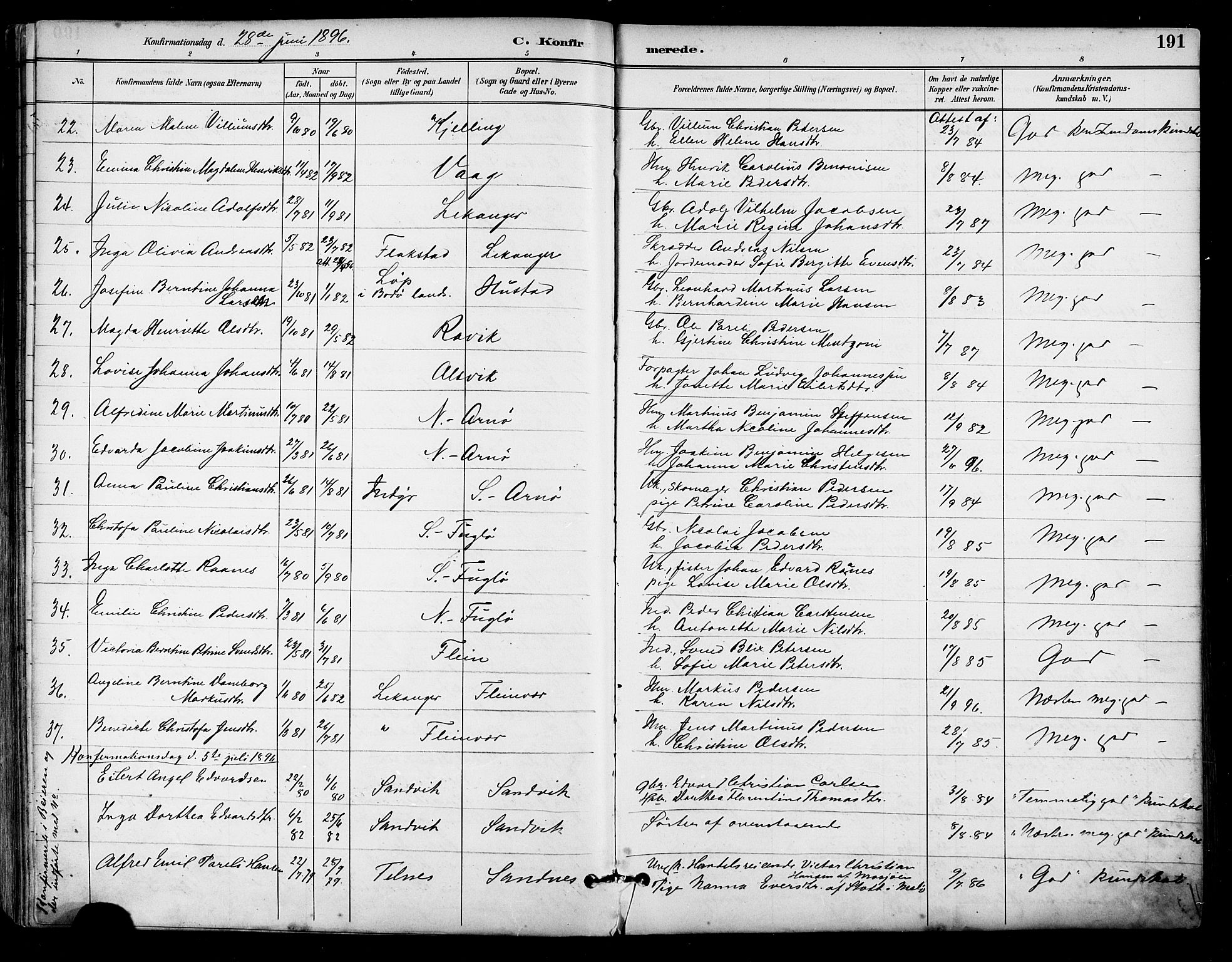 Ministerialprotokoller, klokkerbøker og fødselsregistre - Nordland, AV/SAT-A-1459/805/L0101: Parish register (official) no. 805A07, 1892-1899, p. 191