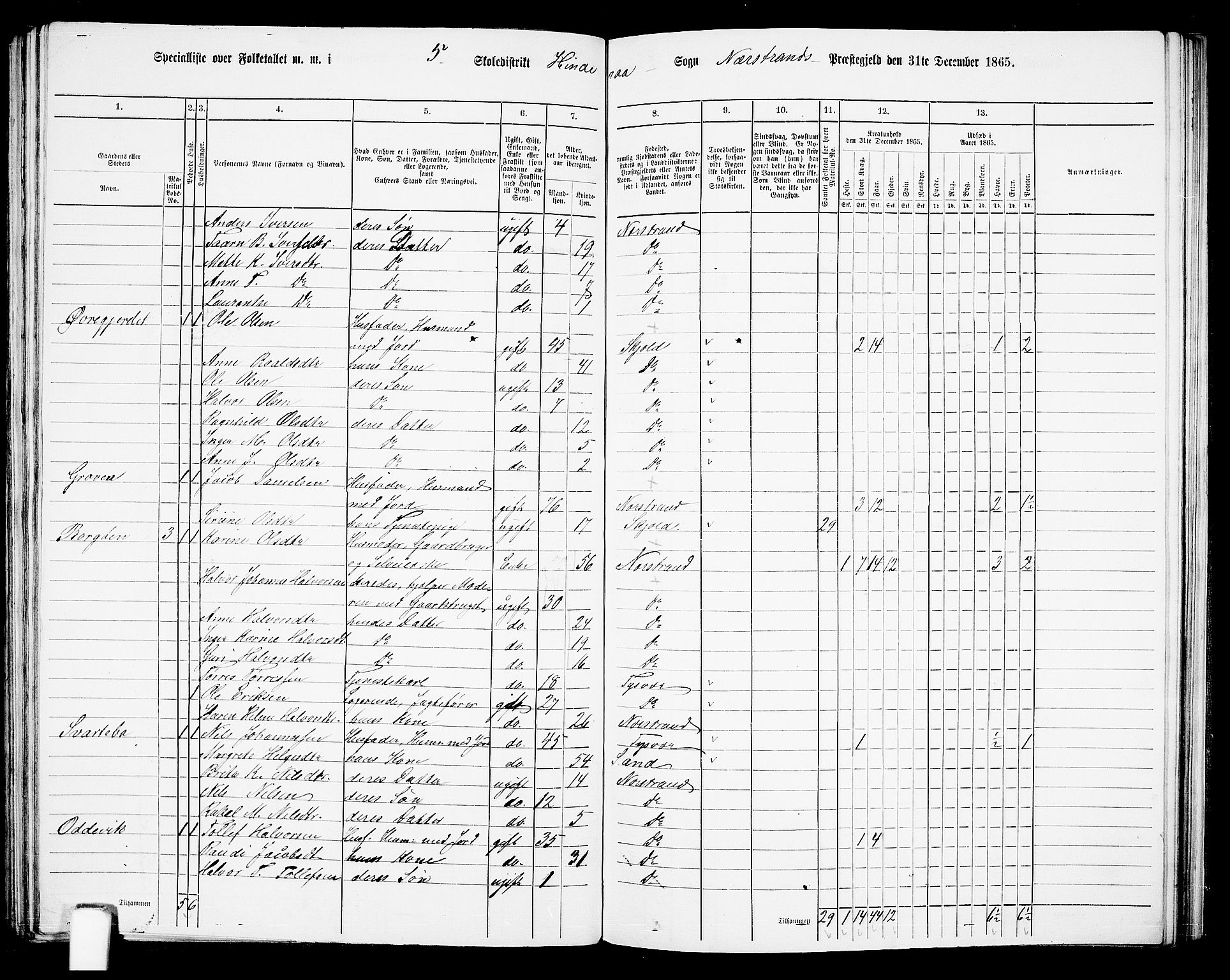 RA, 1865 census for Nedstrand, 1865, p. 67