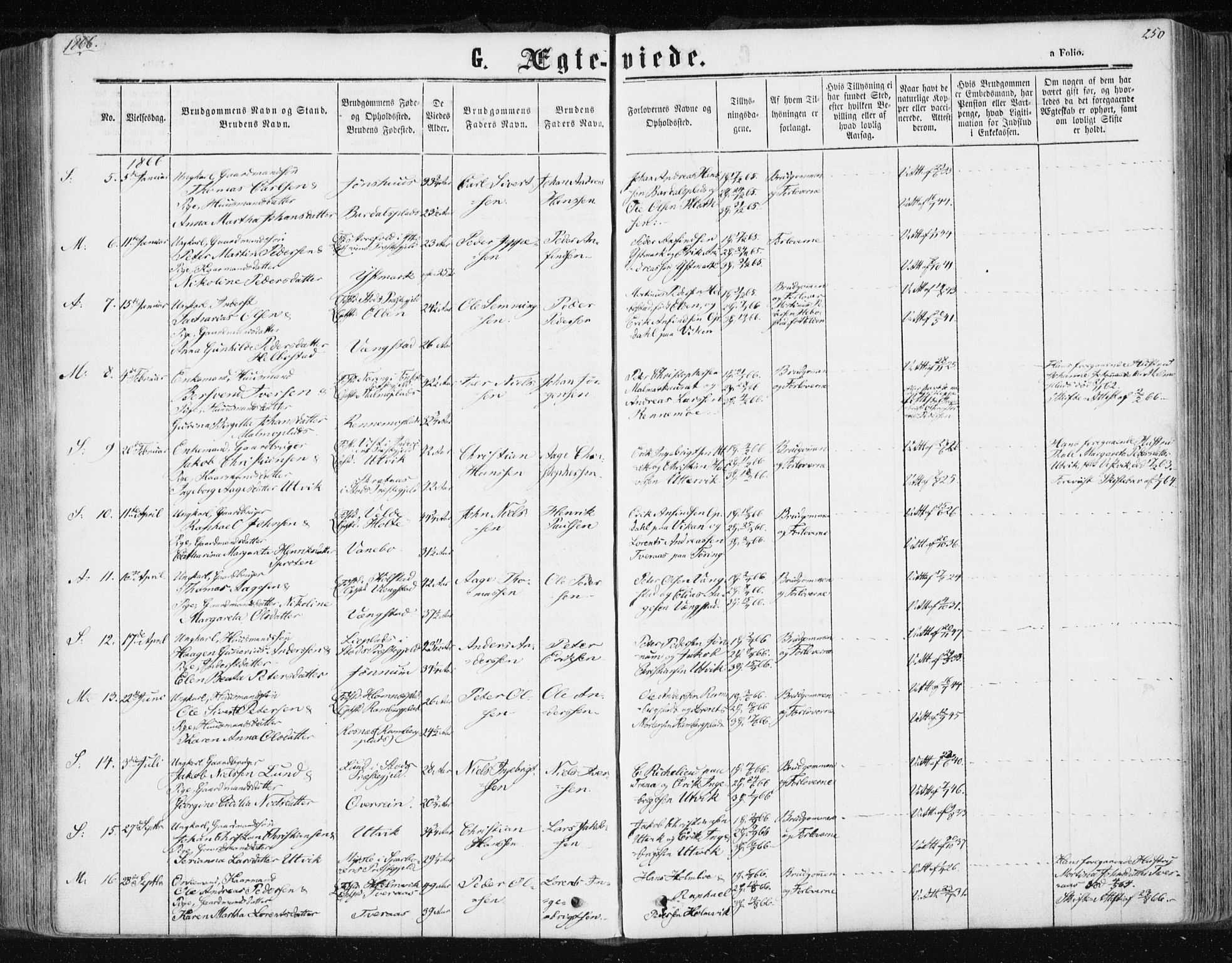 Ministerialprotokoller, klokkerbøker og fødselsregistre - Nord-Trøndelag, SAT/A-1458/741/L0394: Parish register (official) no. 741A08, 1864-1877, p. 250