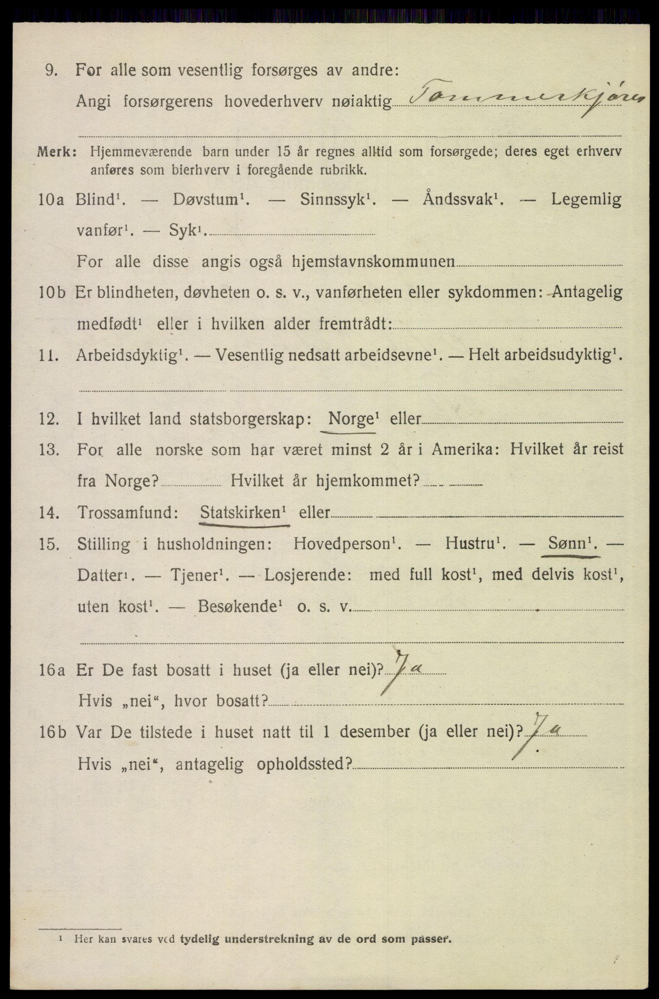 SAH, 1920 census for Trysil, 1920, p. 6542