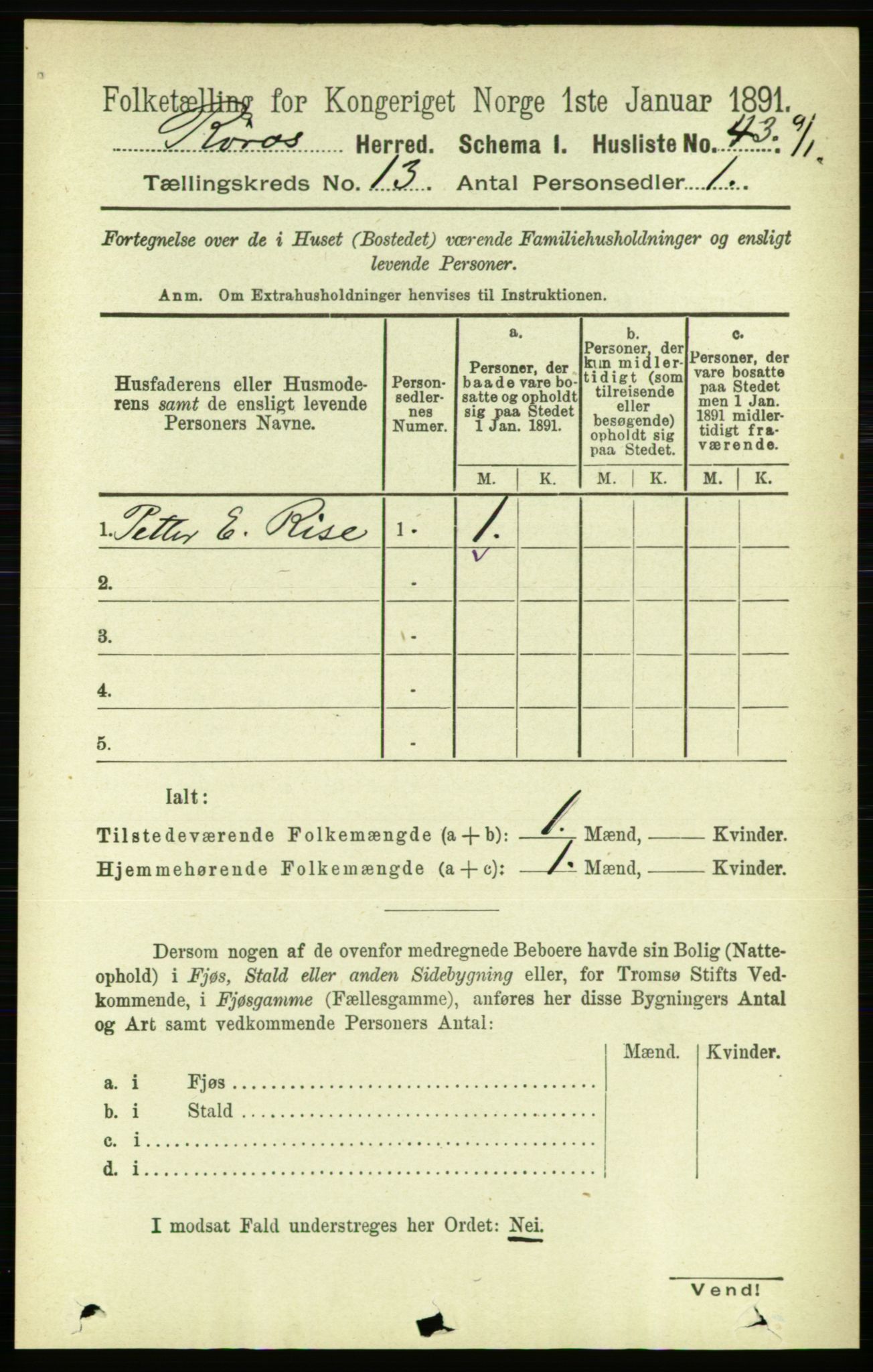 RA, 1891 census for 1640 Røros, 1891, p. 2551