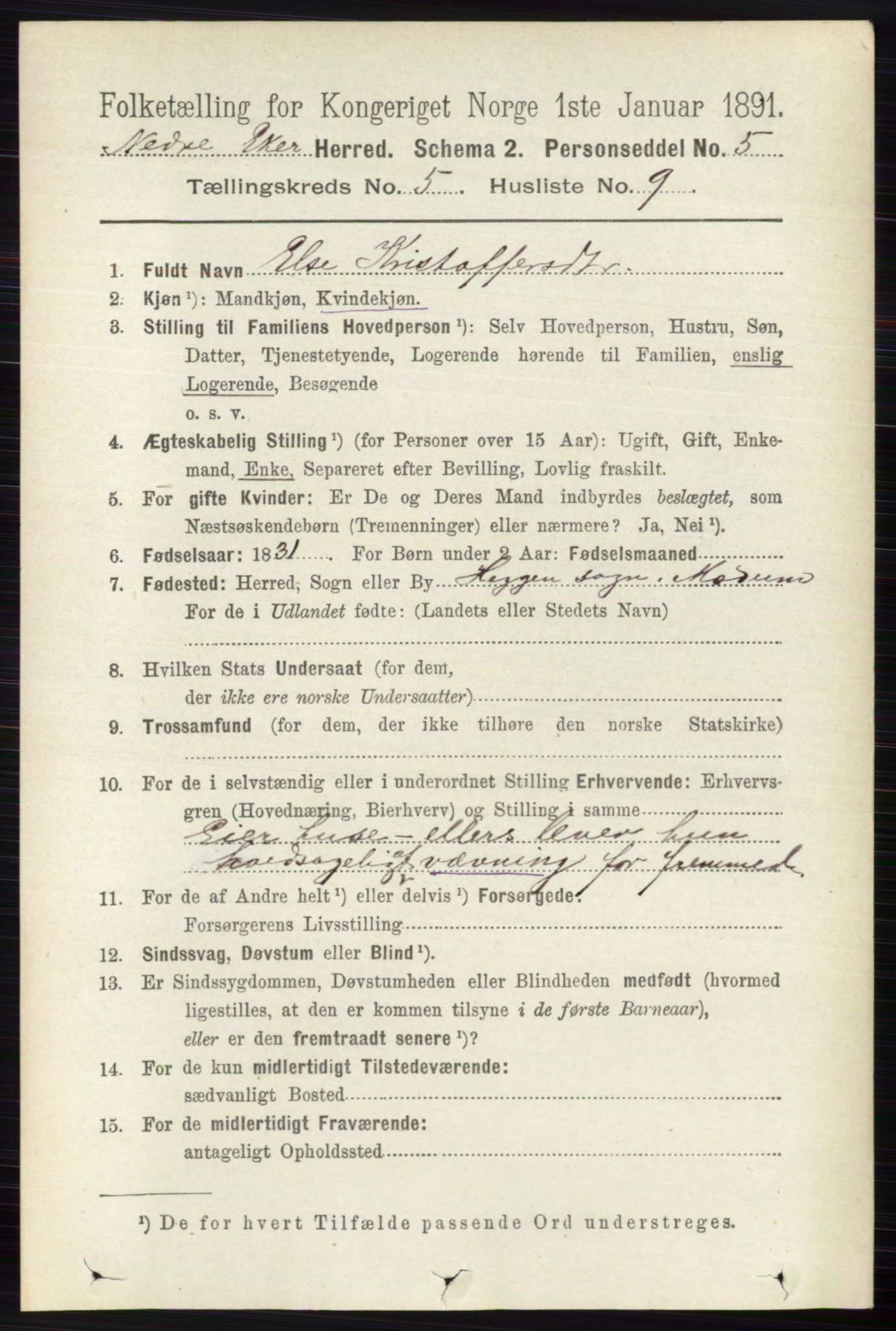 RA, 1891 census for 0625 Nedre Eiker, 1891, p. 2379
