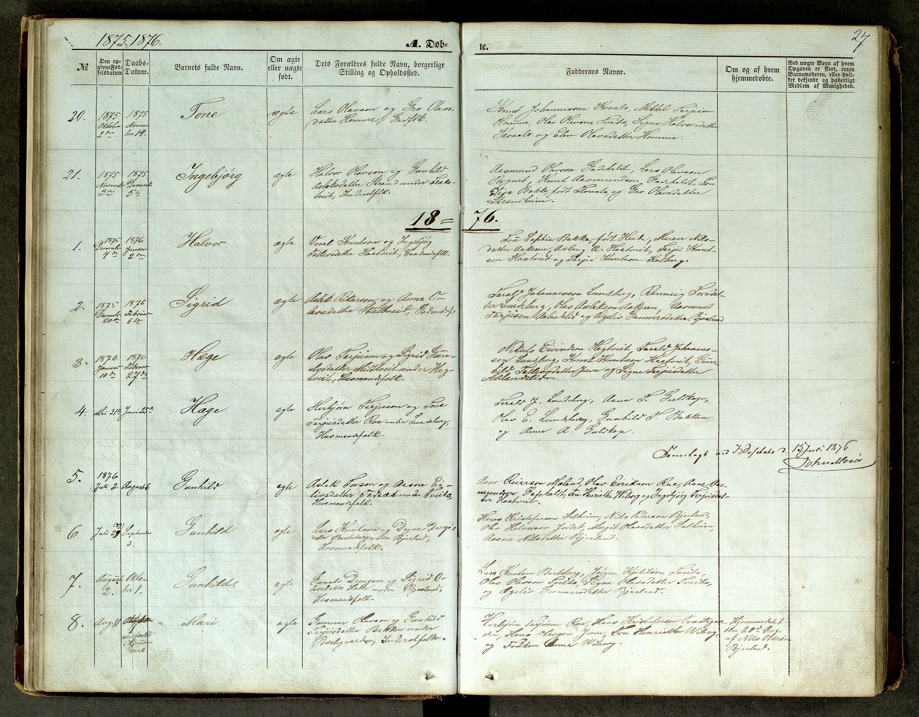 Lårdal kirkebøker, SAKO/A-284/G/Ga/L0002: Parish register (copy) no. I 2, 1861-1890, p. 27