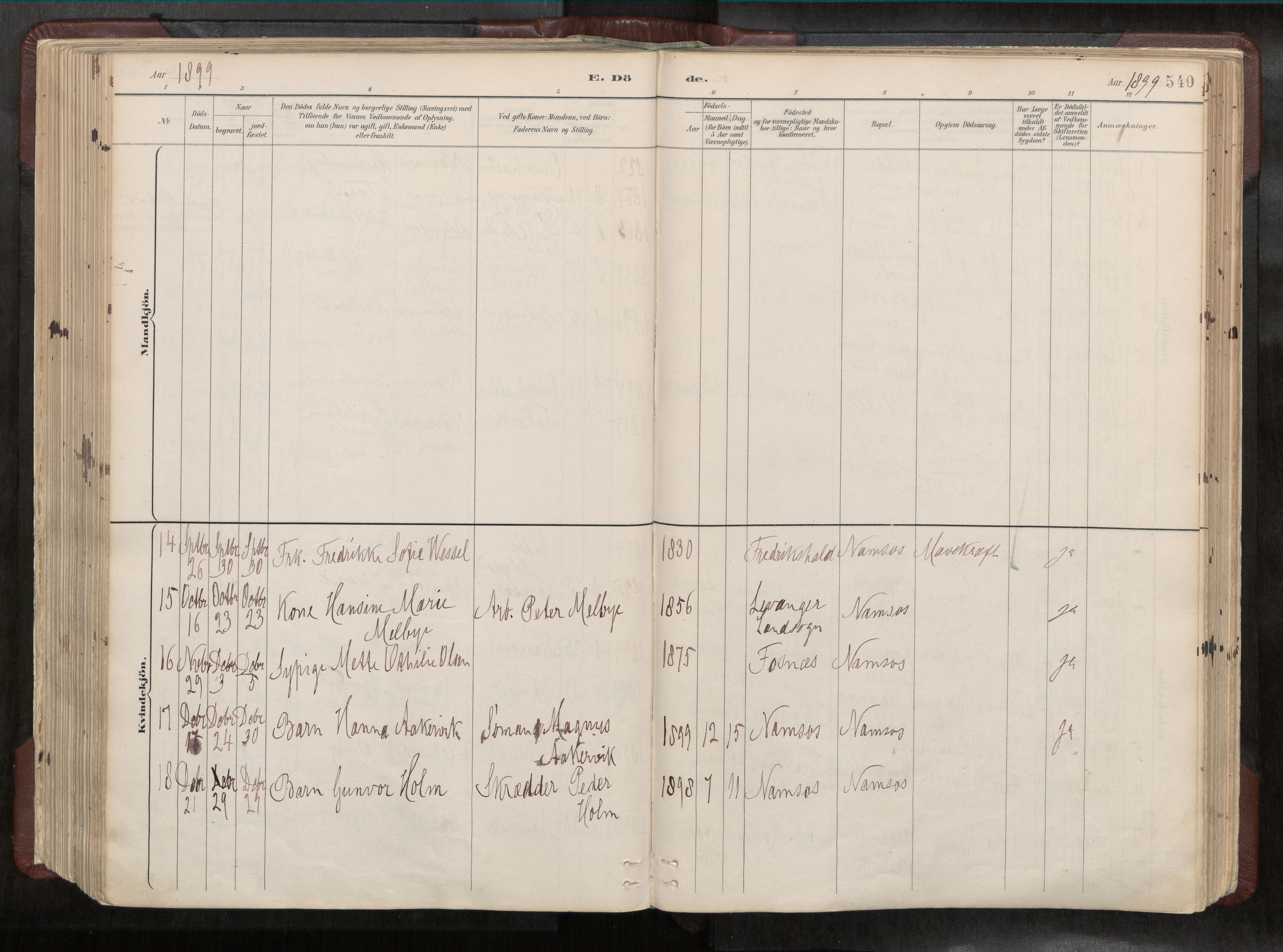 Ministerialprotokoller, klokkerbøker og fødselsregistre - Nord-Trøndelag, AV/SAT-A-1458/768/L0579a: Parish register (official) no. 768A14, 1887-1931, p. 540