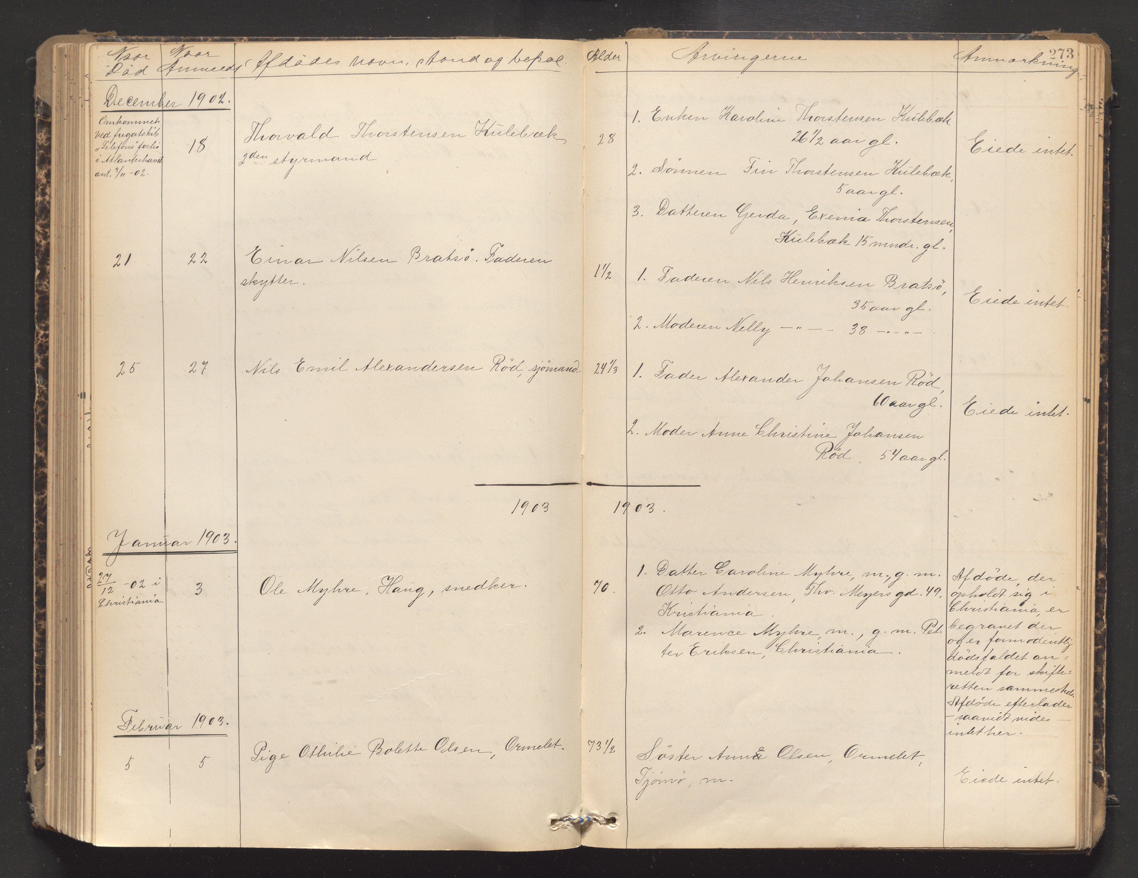 Søndre Jarlsberg sorenskriveri, AV/SAKO-A-129/H/Ha/Hab/L0006: Dødsmeldingsprotokoll, 1899-1906, p. 273
