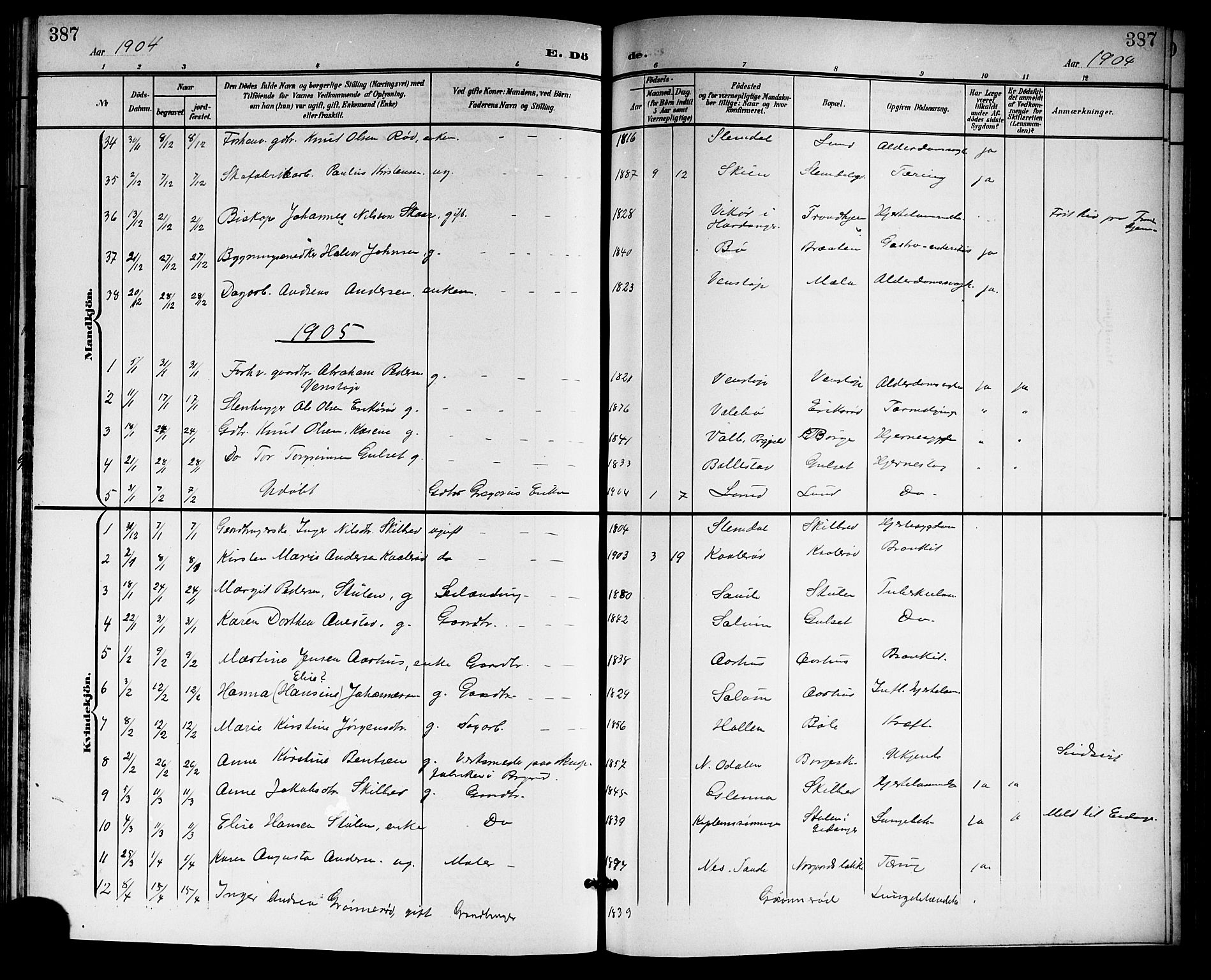 Gjerpen kirkebøker, SAKO/A-265/G/Ga/L0003: Parish register (copy) no. I 3, 1901-1919, p. 387