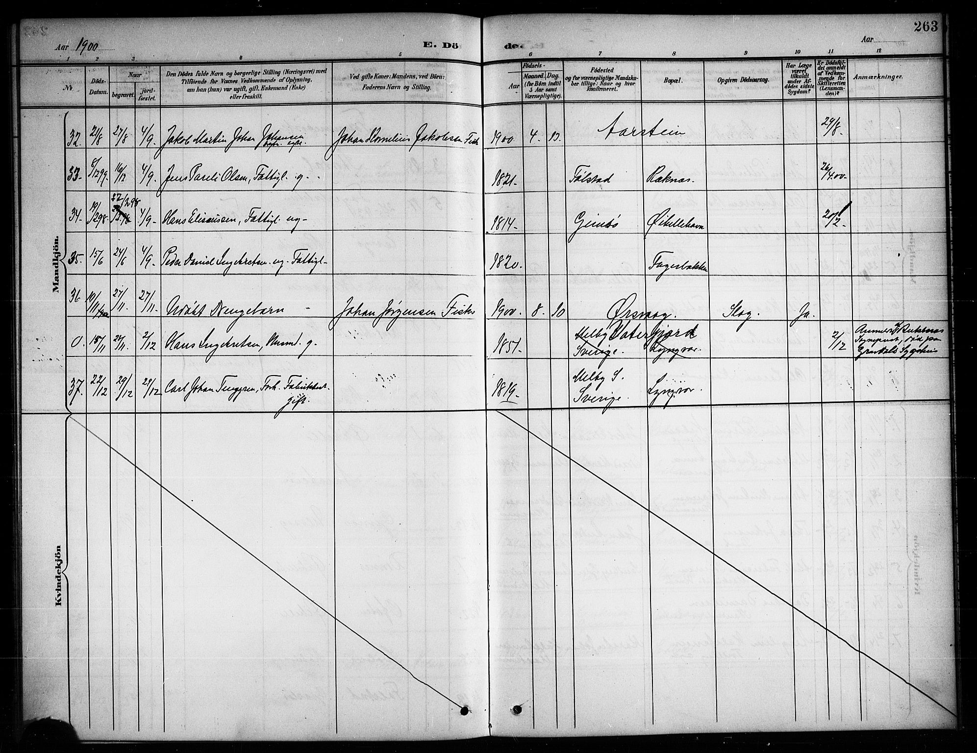 Ministerialprotokoller, klokkerbøker og fødselsregistre - Nordland, AV/SAT-A-1459/874/L1078: Parish register (copy) no. 874C07, 1900-1907, p. 263