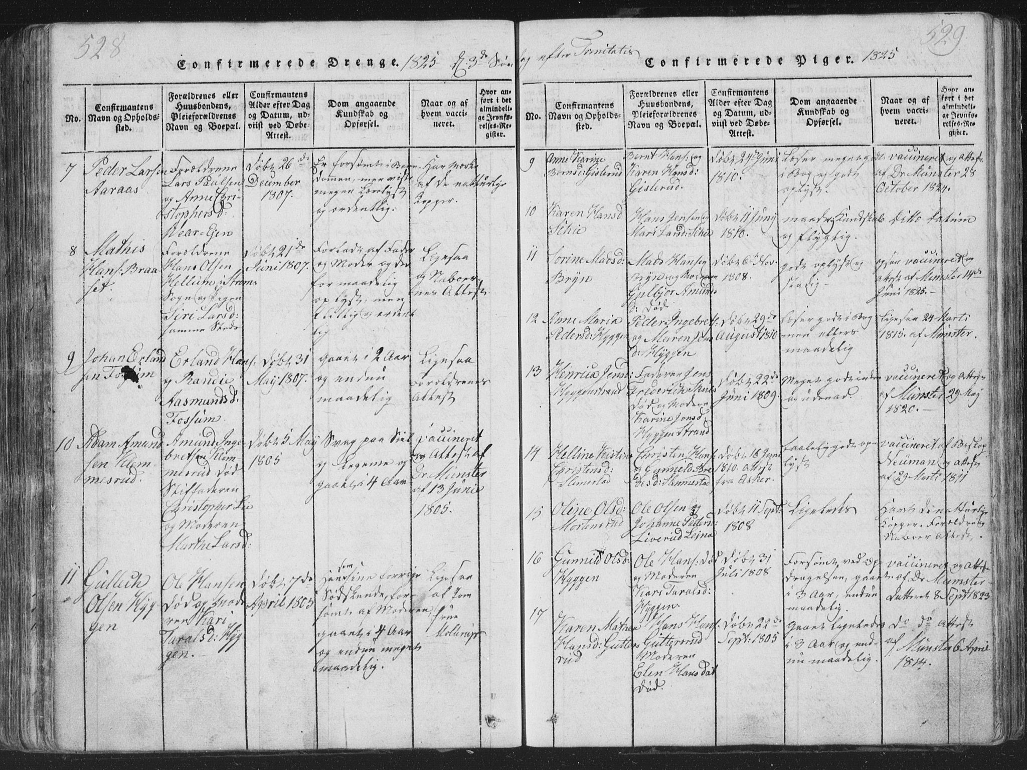 Røyken kirkebøker, AV/SAKO-A-241/G/Ga/L0003: Parish register (copy) no. 3, 1814-1856, p. 528-529