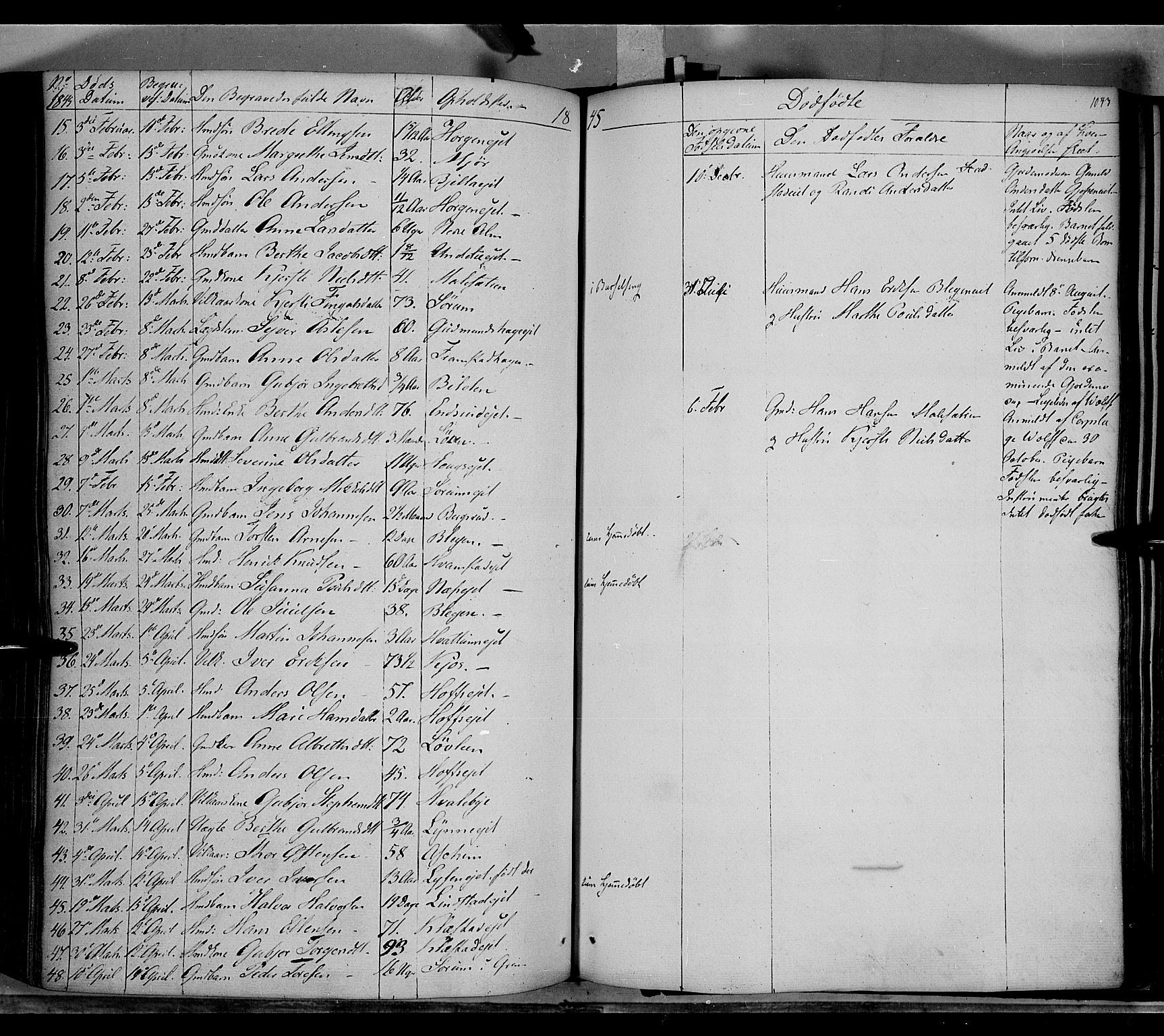 Gran prestekontor, SAH/PREST-112/H/Ha/Haa/L0011: Parish register (official) no. 11, 1842-1856, p. 1042-1043
