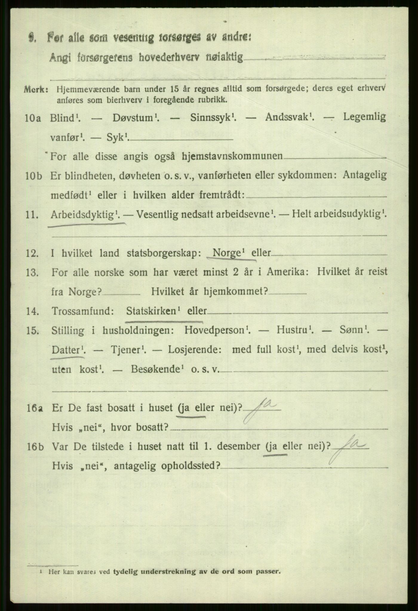 SAB, 1920 census for Voss, 1920, p. 15216