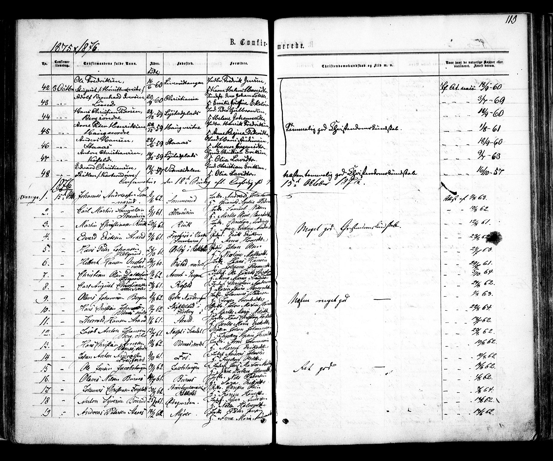 Skiptvet prestekontor Kirkebøker, AV/SAO-A-20009/F/Fa/L0008: Parish register (official) no. 8, 1867-1877, p. 113
