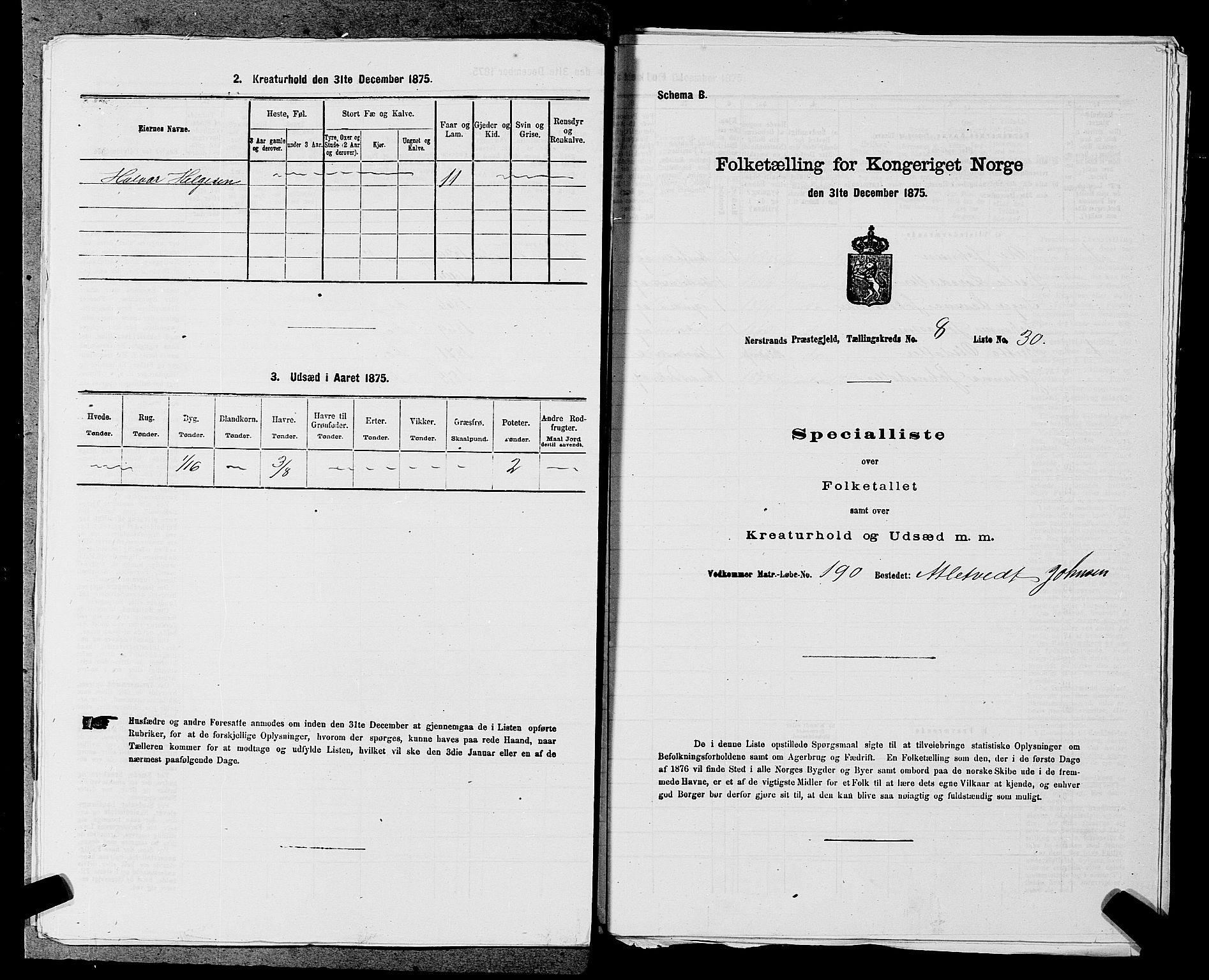 SAST, 1875 census for 1139P Nedstrand, 1875, p. 919