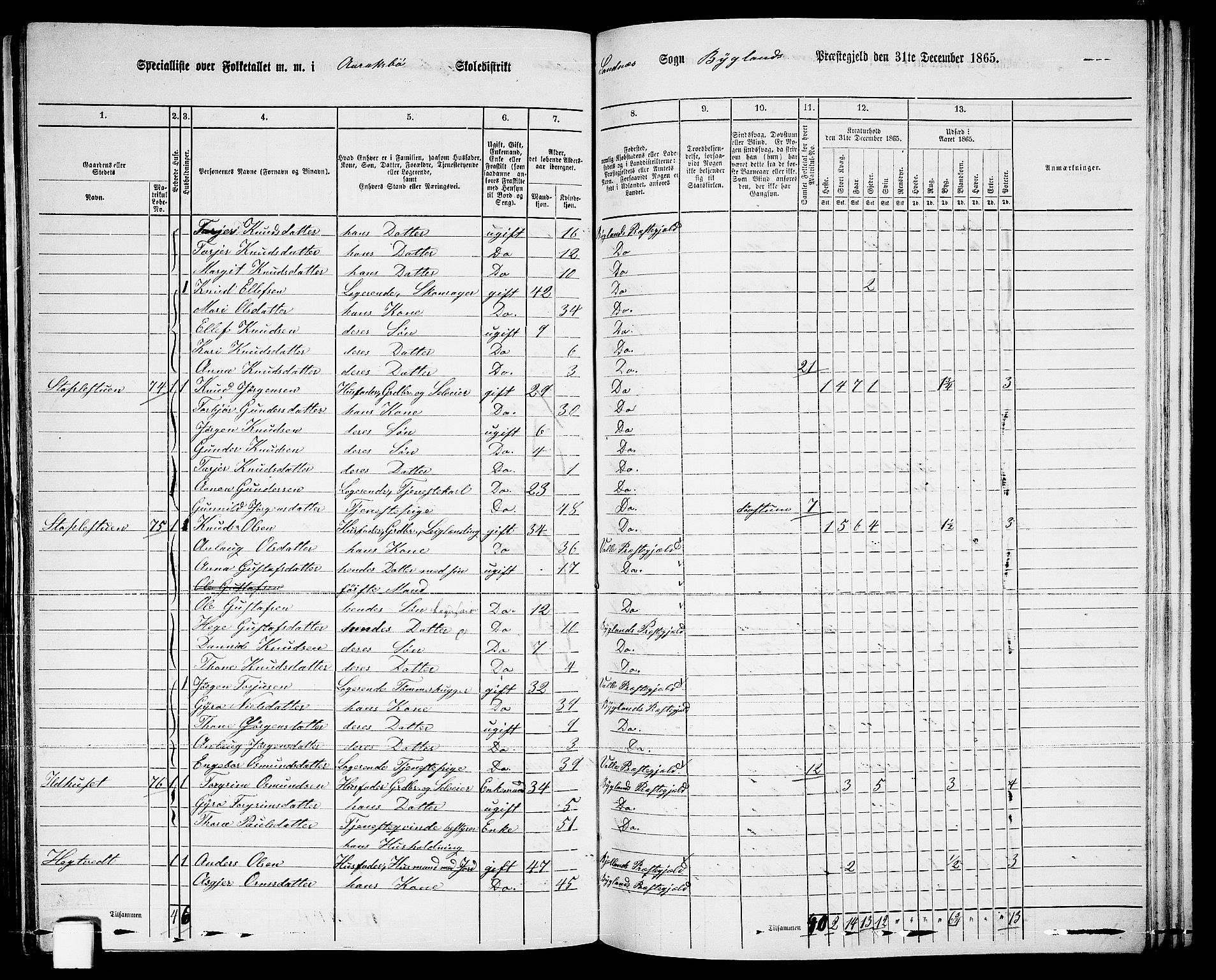 RA, 1865 census for Bygland, 1865, p. 38