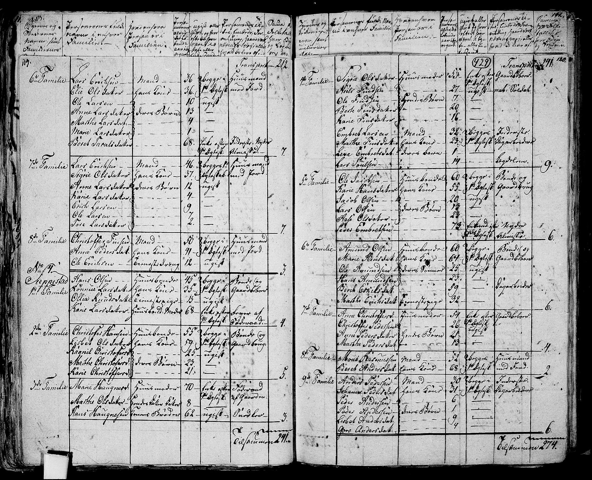 RA, 1801 census for 0419P Strøm, 1801, p. 428b-429a