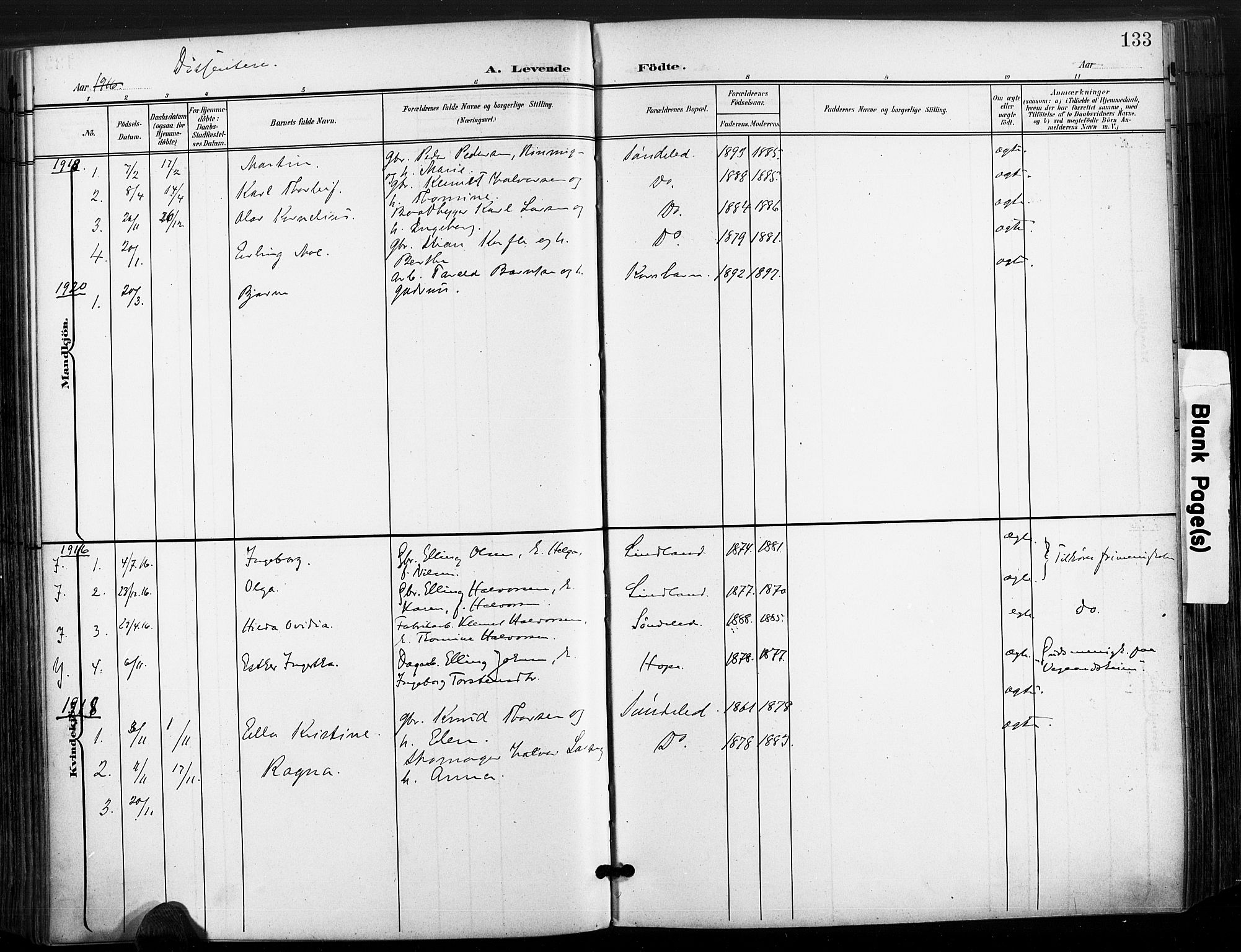 Søndeled sokneprestkontor, AV/SAK-1111-0038/F/Fa/L0006: Parish register (official) no. A 6, 1900-1922, p. 133