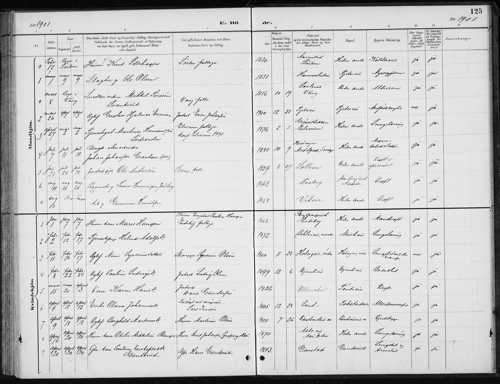 Stange prestekontor, SAH/PREST-002/L/L0010: Parish register (copy) no. 10, 1894-1905, p. 125