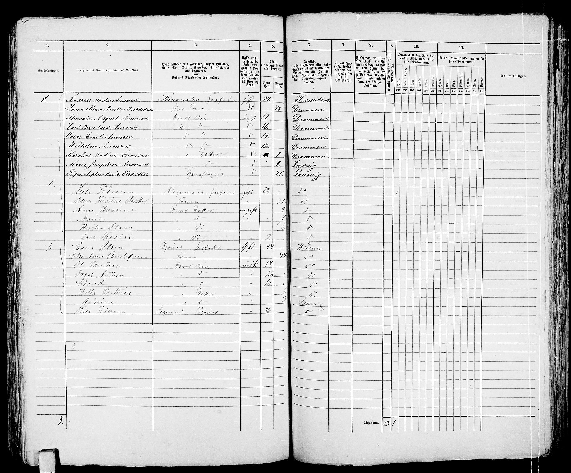 RA, 1865 census for Larvik, 1865, p. 533