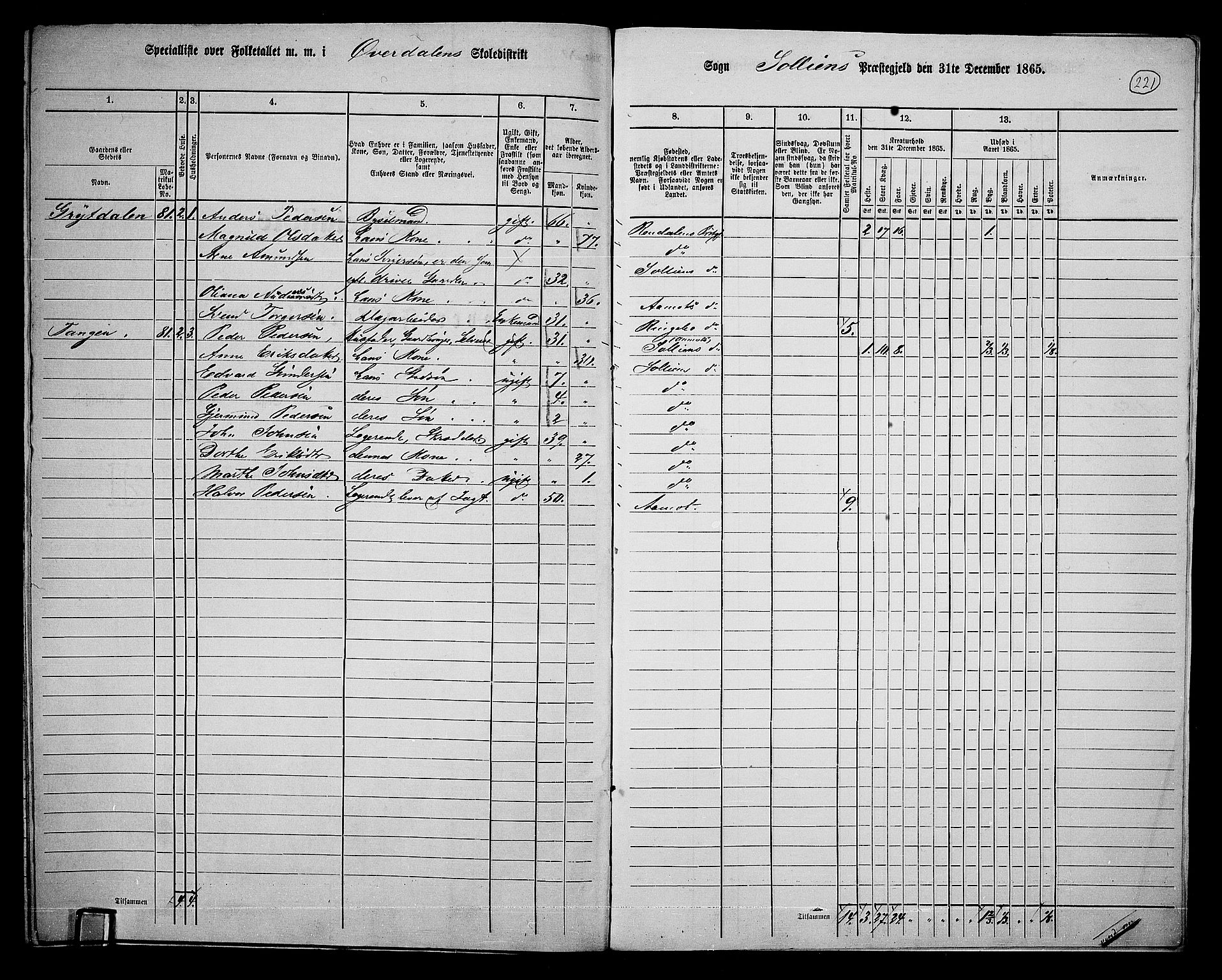 RA, 1865 census for Sollia, 1865, p. 25