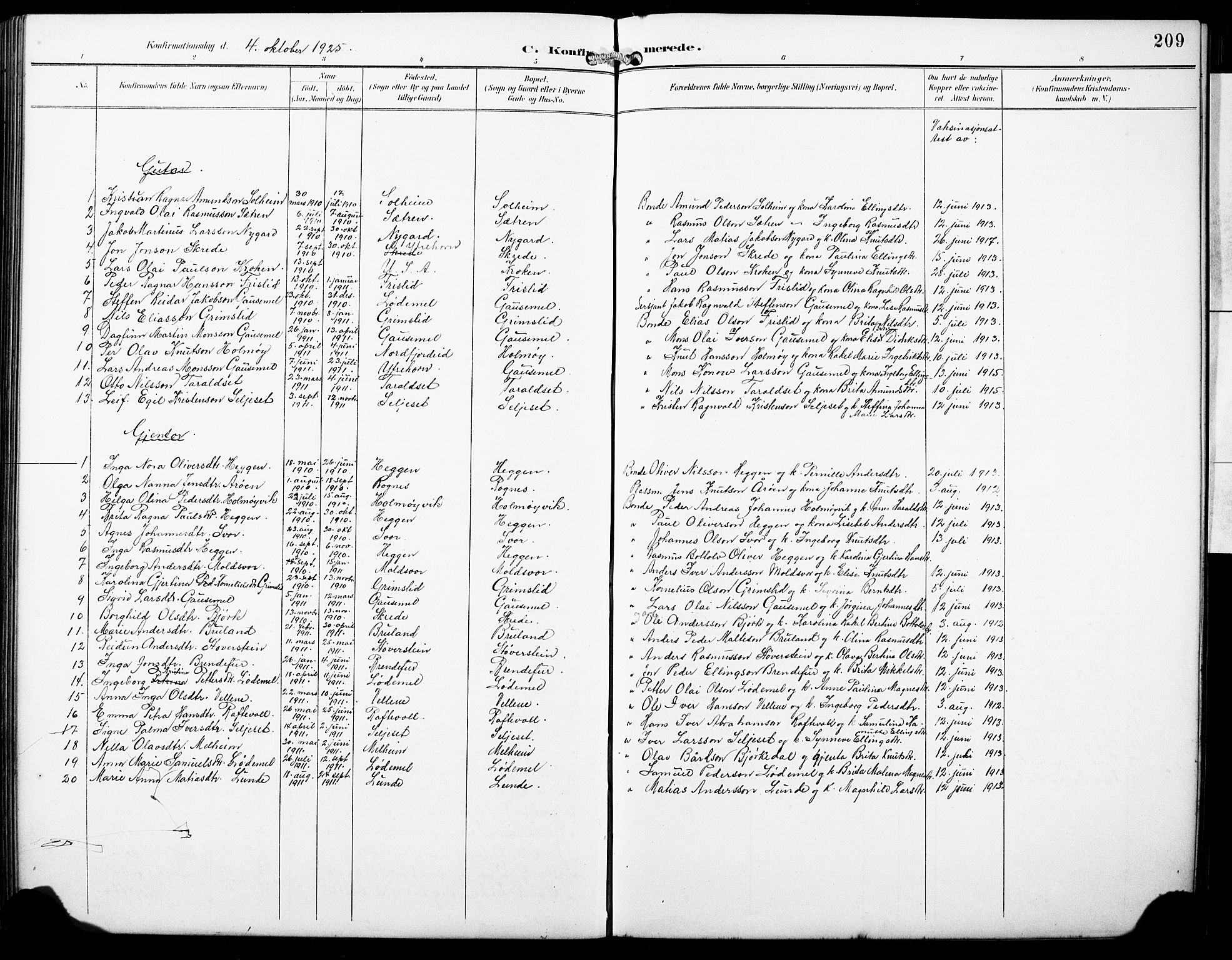 Hornindal sokneprestembete, SAB/A-82401/H/Hab: Parish register (copy) no. A 2, 1894-1927, p. 209
