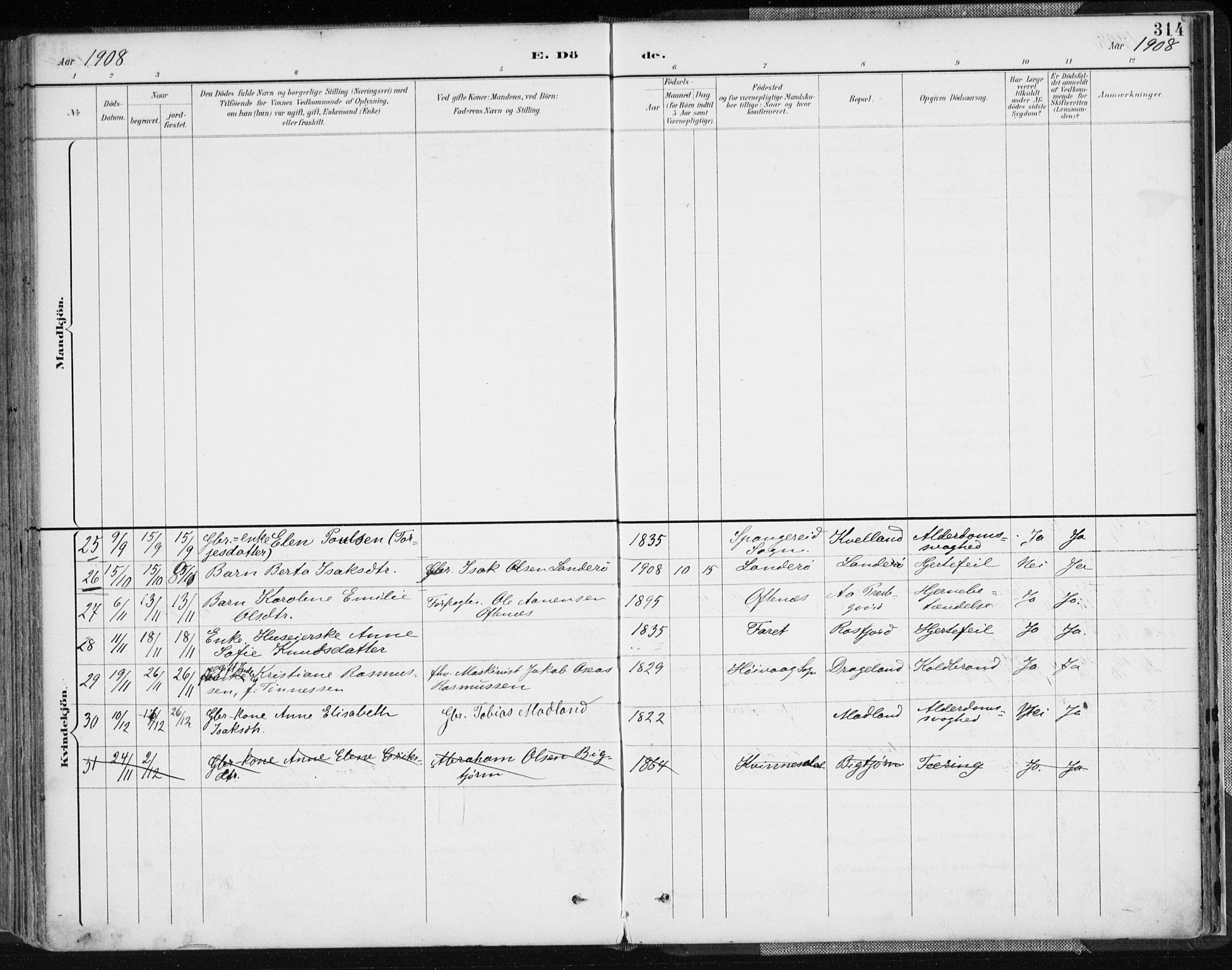 Lyngdal sokneprestkontor, AV/SAK-1111-0029/F/Fa/Fac/L0012: Parish register (official) no. A 12, 1894-1918, p. 314