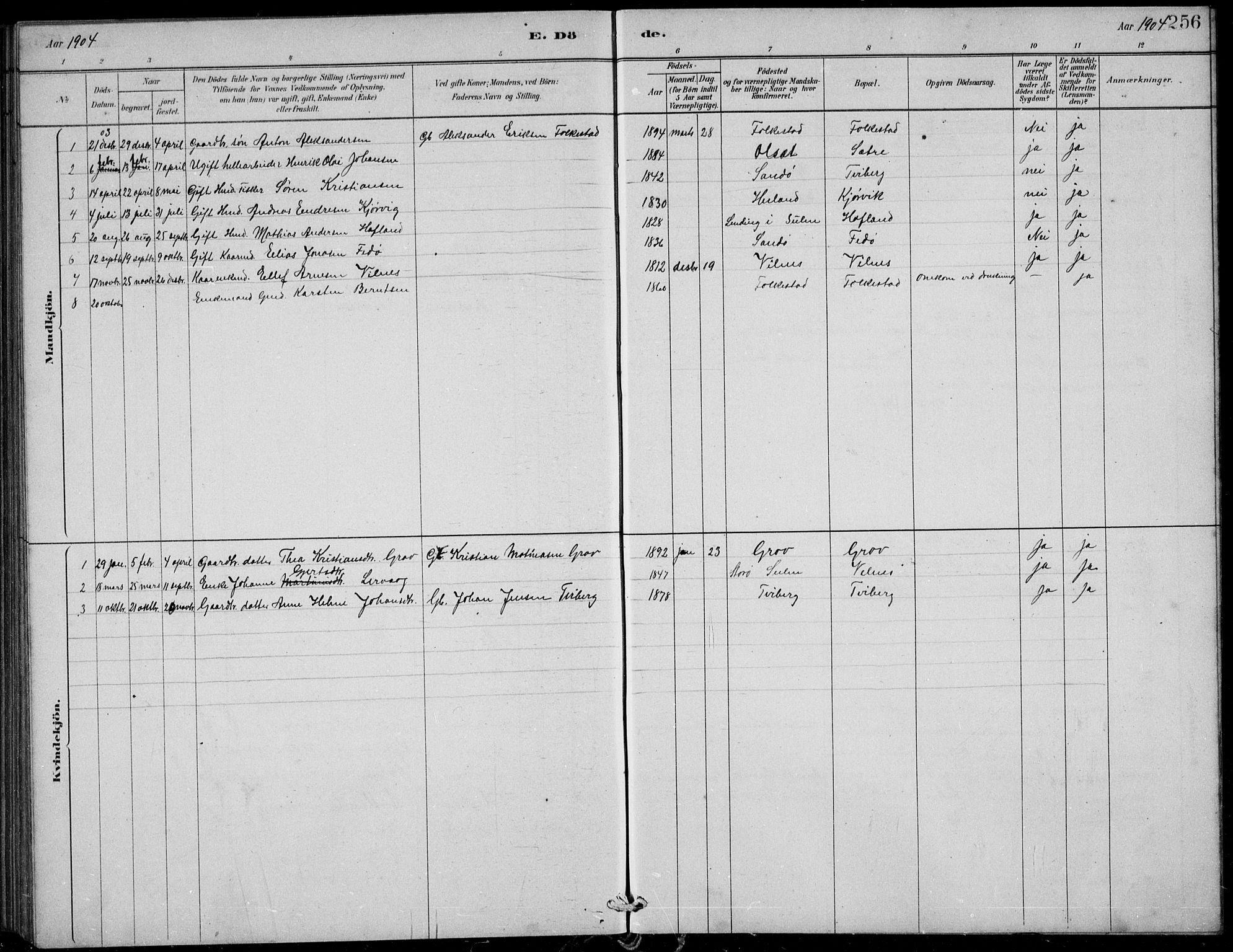 Askvoll sokneprestembete, AV/SAB-A-79501/H/Hab/Habb/L0001: Parish register (copy) no. B 1, 1879-1909, p. 256