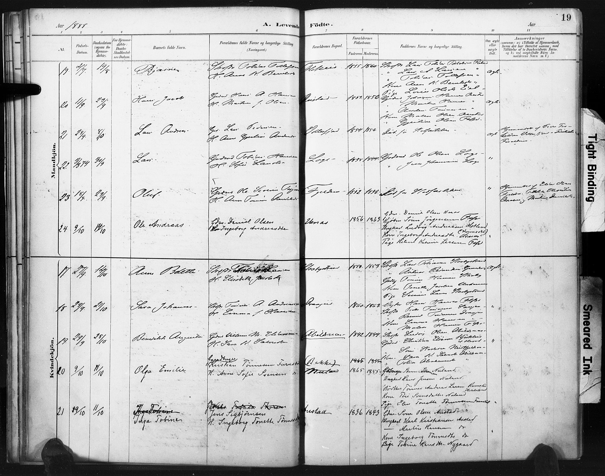 Flekkefjord sokneprestkontor, SAK/1111-0012/F/Fa/Fac/L0008: Parish register (official) no. A 8, 1885-1898, p. 19