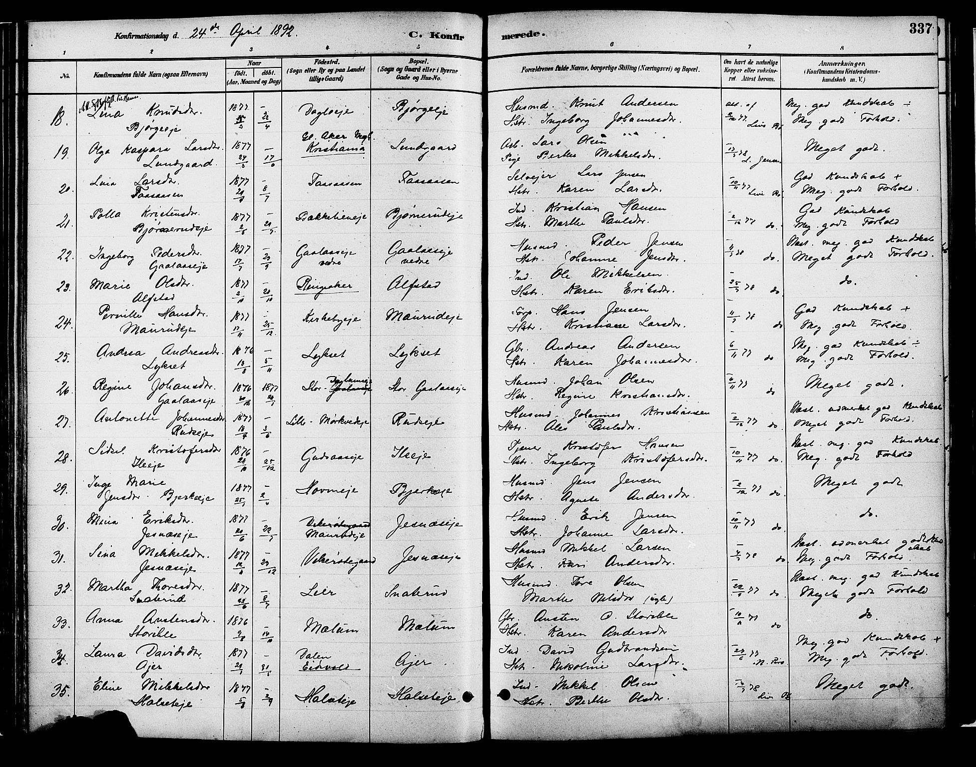 Vang prestekontor, Hedmark, SAH/PREST-008/H/Ha/Haa/L0018B: Parish register (official) no. 18B, 1880-1906, p. 337
