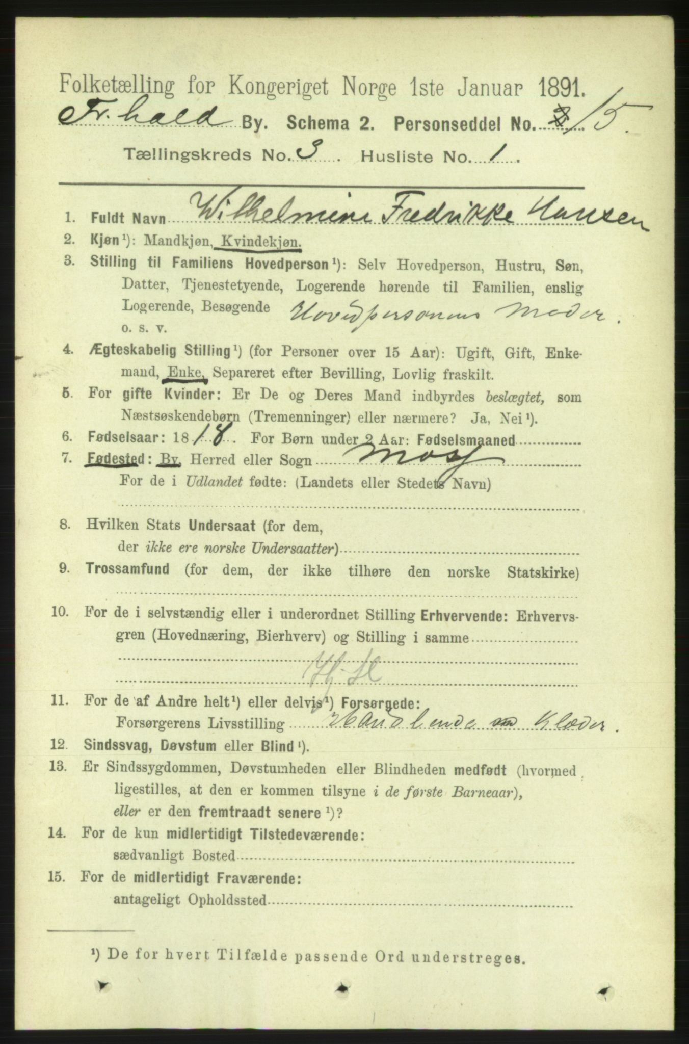 RA, 1891 census for 0101 Fredrikshald, 1891, p. 3206