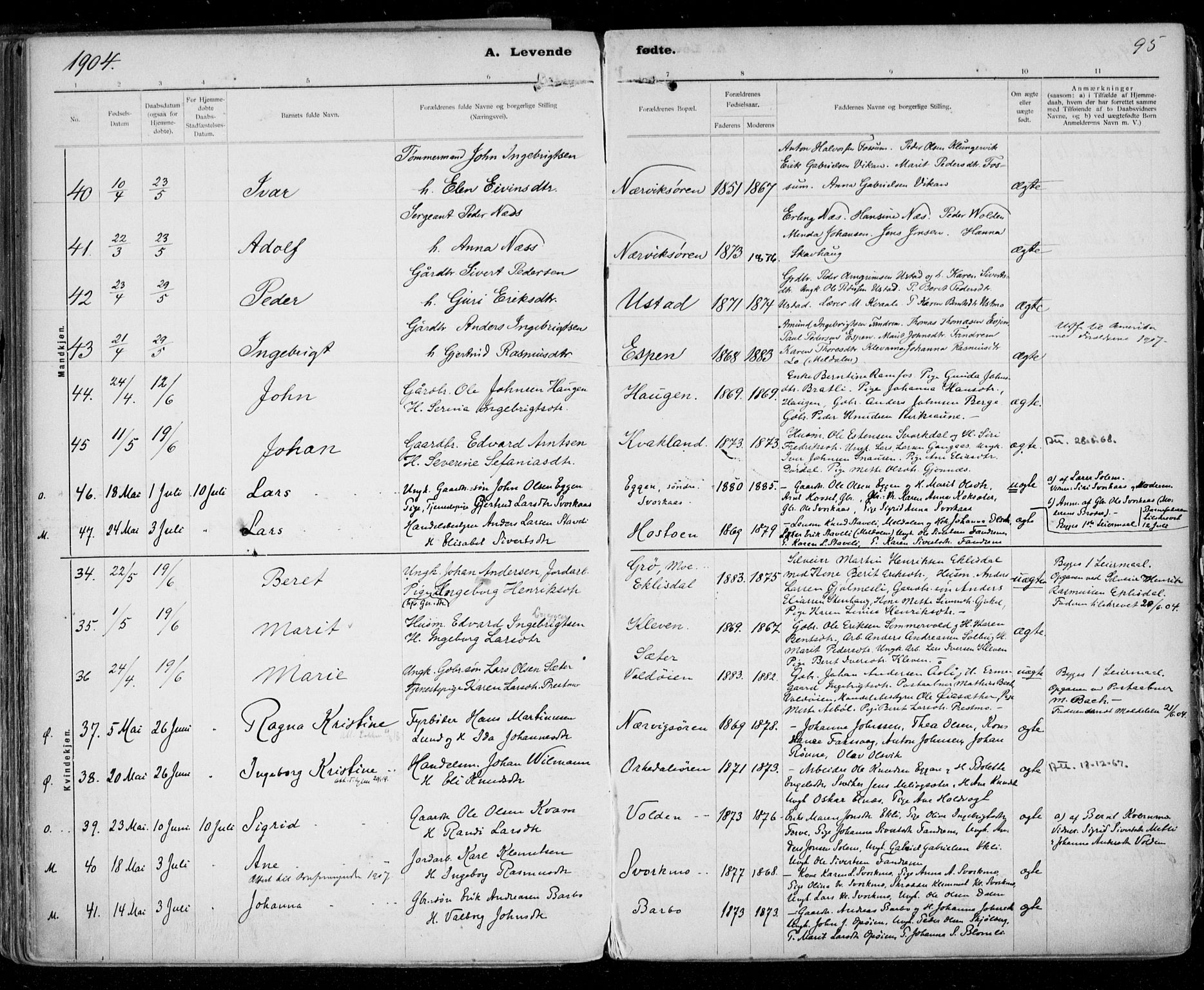 Ministerialprotokoller, klokkerbøker og fødselsregistre - Sør-Trøndelag, AV/SAT-A-1456/668/L0811: Parish register (official) no. 668A11, 1894-1913, p. 95