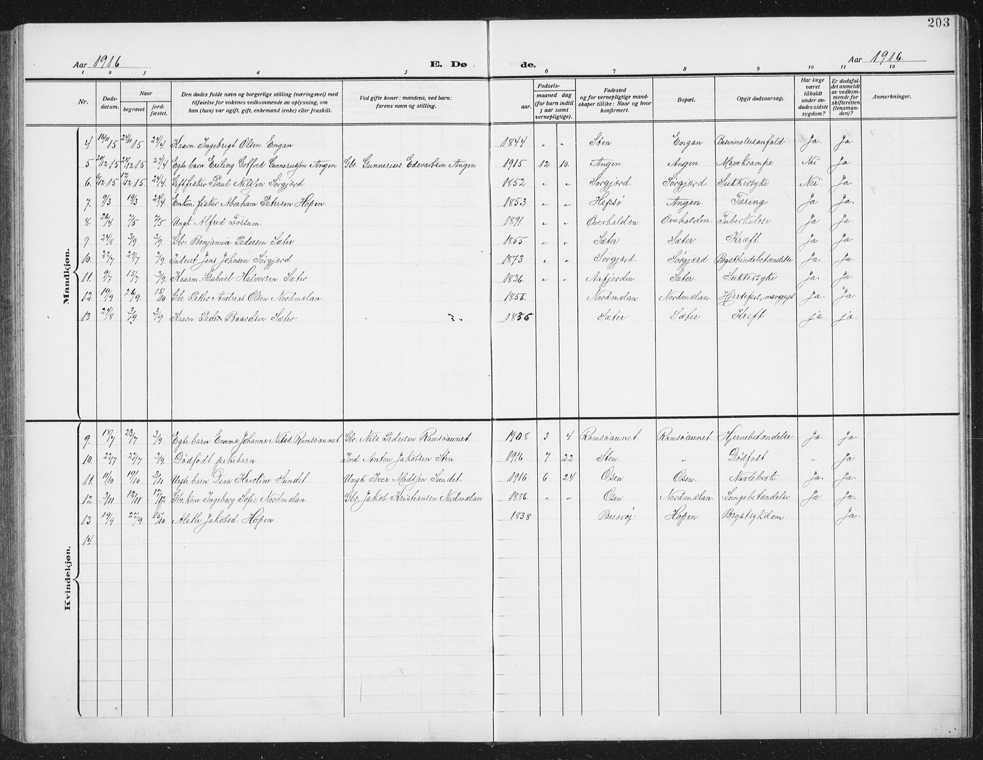 Ministerialprotokoller, klokkerbøker og fødselsregistre - Sør-Trøndelag, AV/SAT-A-1456/658/L0727: Parish register (copy) no. 658C03, 1909-1935, p. 203