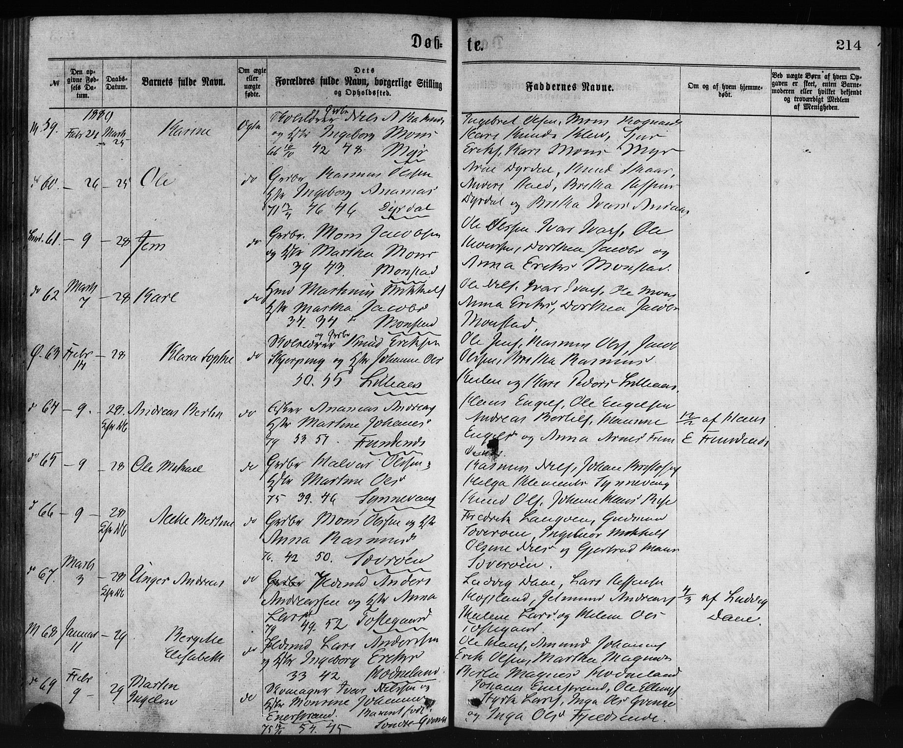 Lindås Sokneprestembete, SAB/A-76701/H/Haa: Parish register (official) no. A 18, 1869-1885, p. 214