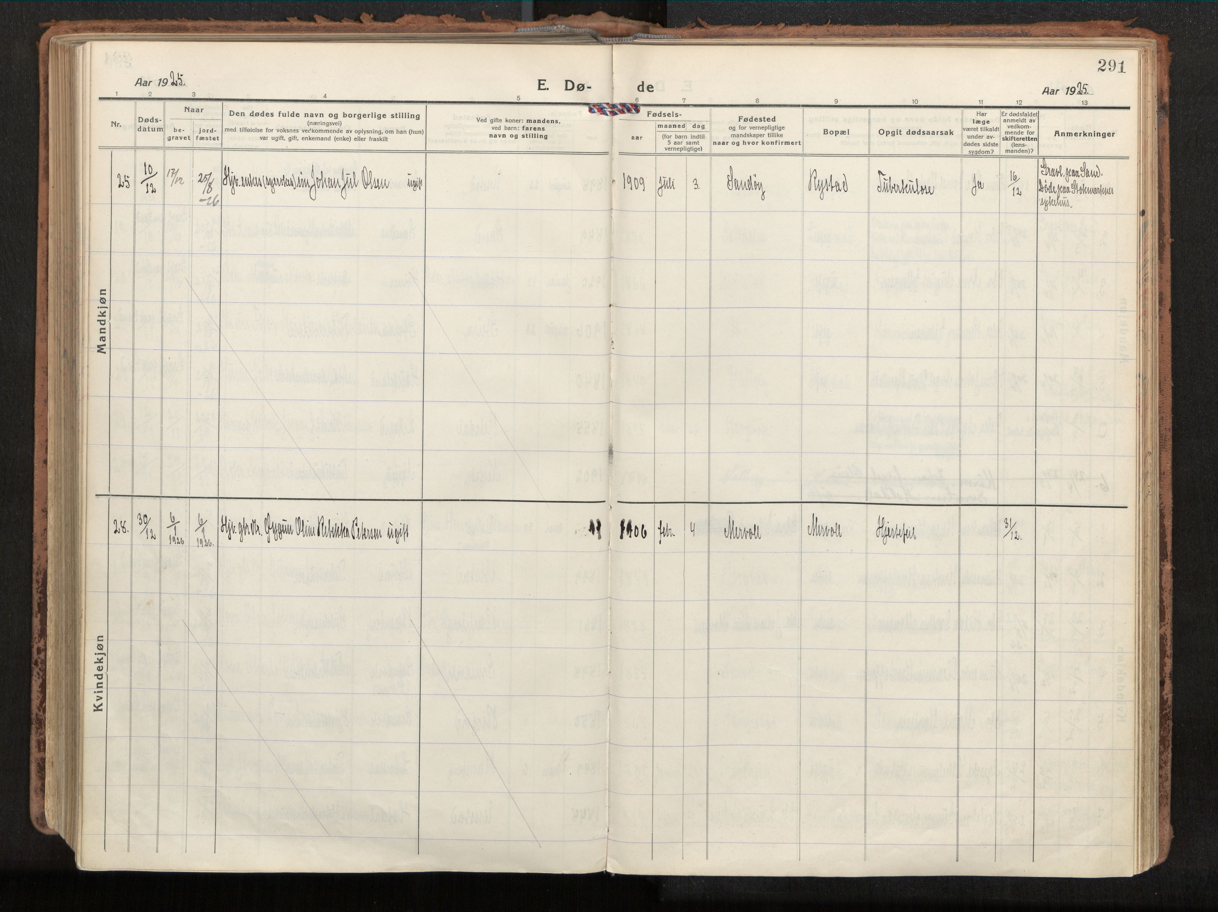 Ministerialprotokoller, klokkerbøker og fødselsregistre - Nordland, SAT/A-1459/880/L1136: Parish register (official) no. 880A10, 1919-1927, p. 291