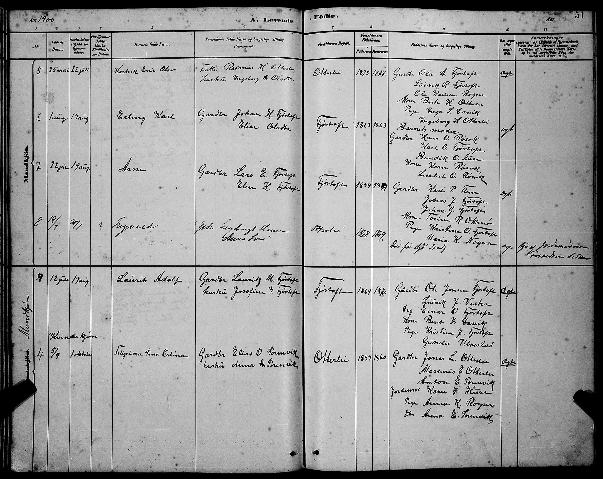 Ministerialprotokoller, klokkerbøker og fødselsregistre - Møre og Romsdal, AV/SAT-A-1454/538/L0523: Parish register (copy) no. 538C01, 1881-1900, p. 51