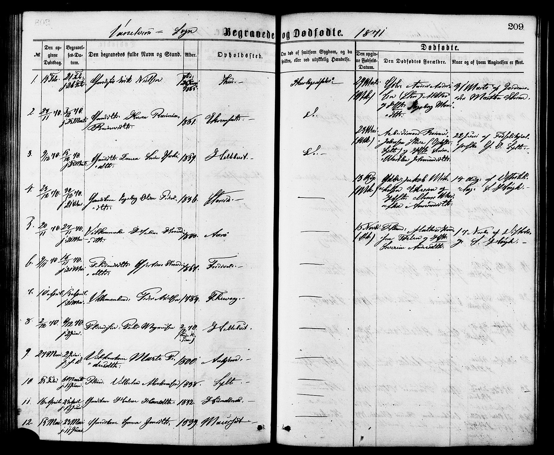 Ministerialprotokoller, klokkerbøker og fødselsregistre - Møre og Romsdal, AV/SAT-A-1454/501/L0007: Parish register (official) no. 501A07, 1868-1884, p. 209