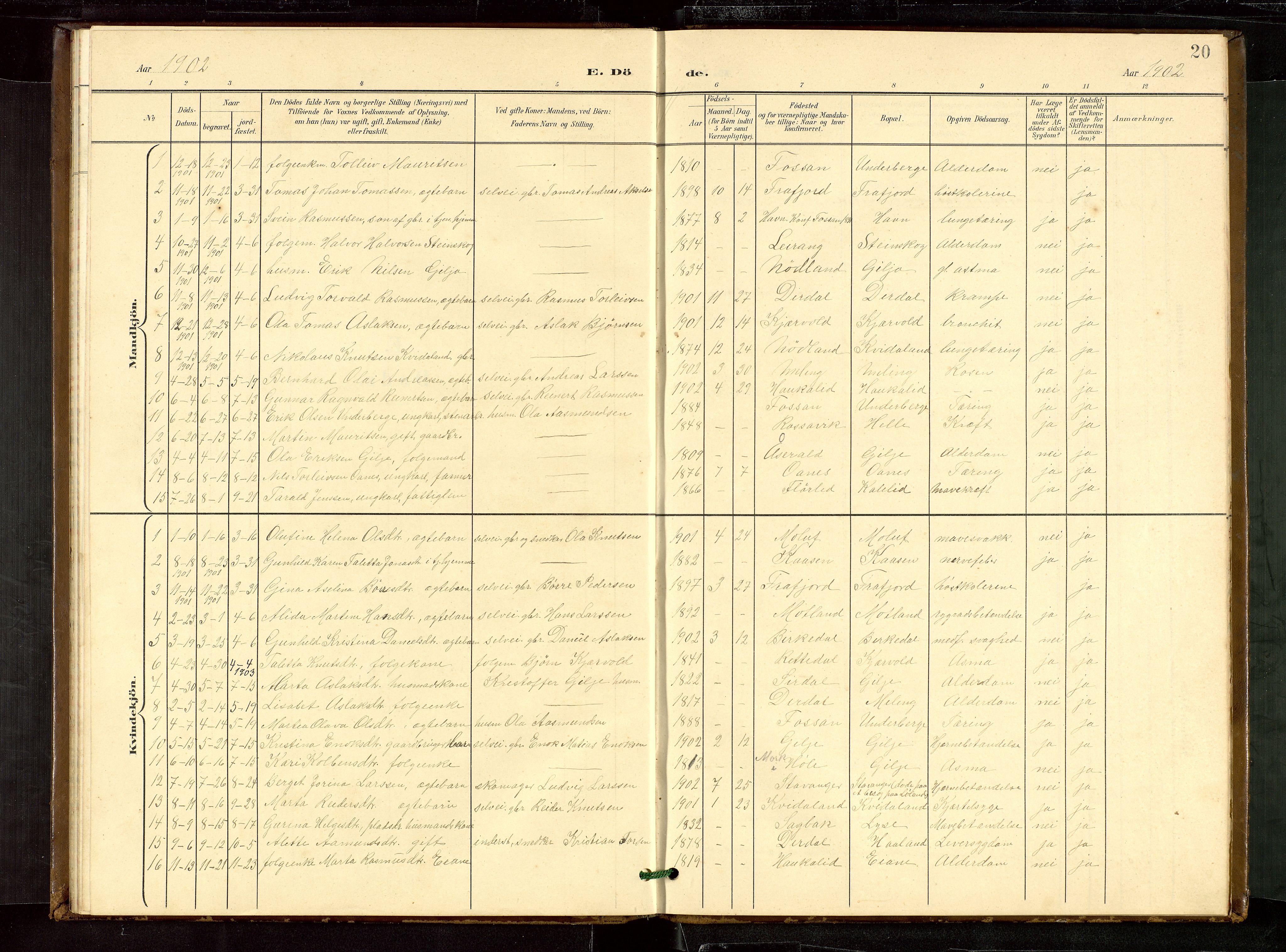 Høgsfjord sokneprestkontor, SAST/A-101624/H/Ha/Hab/L0010: Parish register (copy) no. B 10, 1900-1922, p. 20