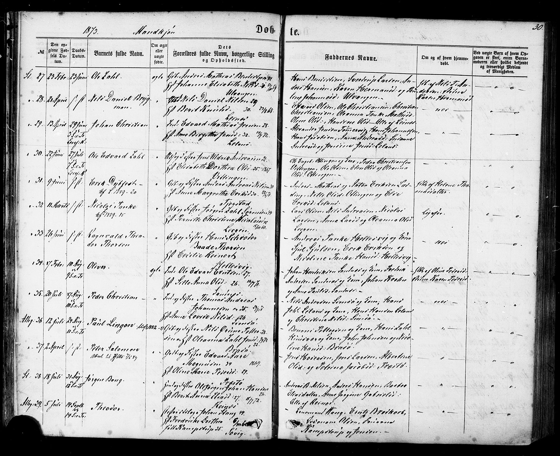 Ministerialprotokoller, klokkerbøker og fødselsregistre - Nordland, SAT/A-1459/830/L0449: Parish register (official) no. 830A13, 1866-1886, p. 30
