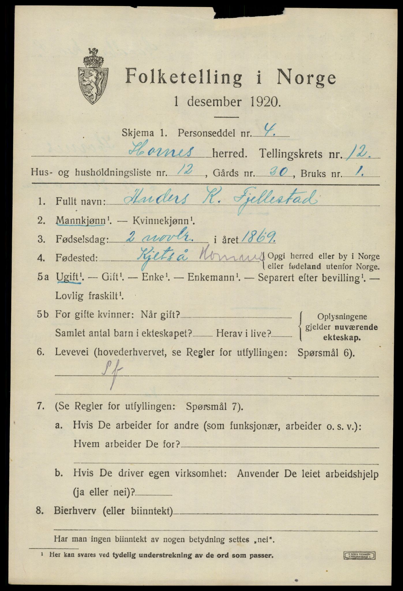 SAK, 1920 census for Hornnes, 1920, p. 3021