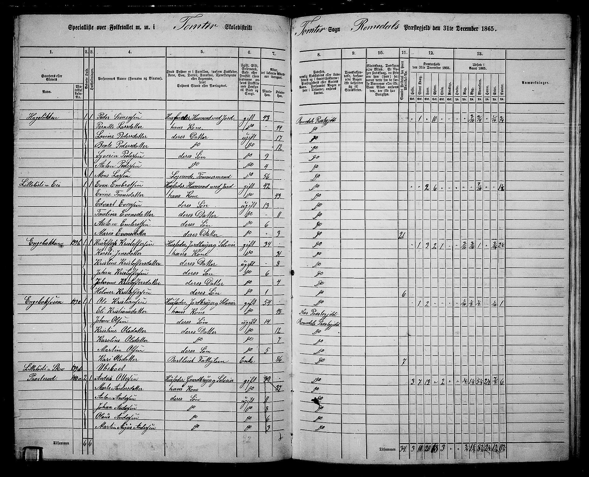 RA, 1865 census for Romedal, 1865, p. 126