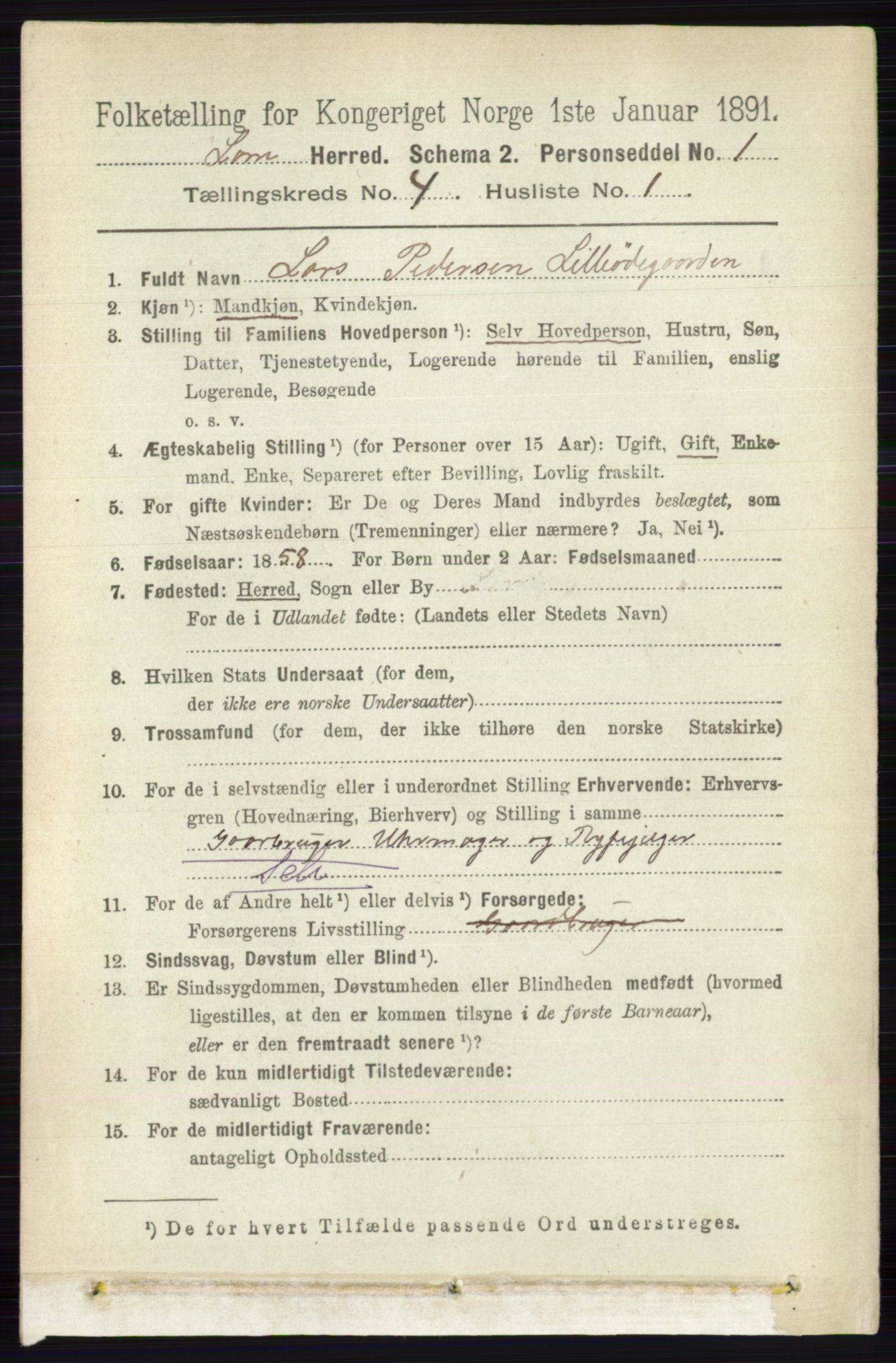 RA, 1891 census for 0514 Lom, 1891, p. 1504