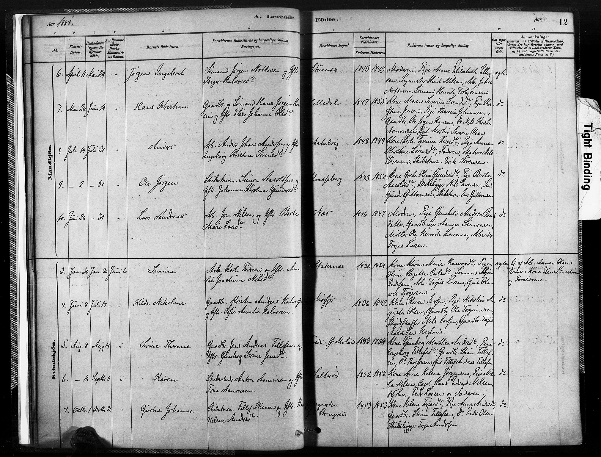 Austre Moland sokneprestkontor, SAK/1111-0001/F/Fa/Fab/L0001: Parish register (official) no. A 1, 1878-1898, p. 12
