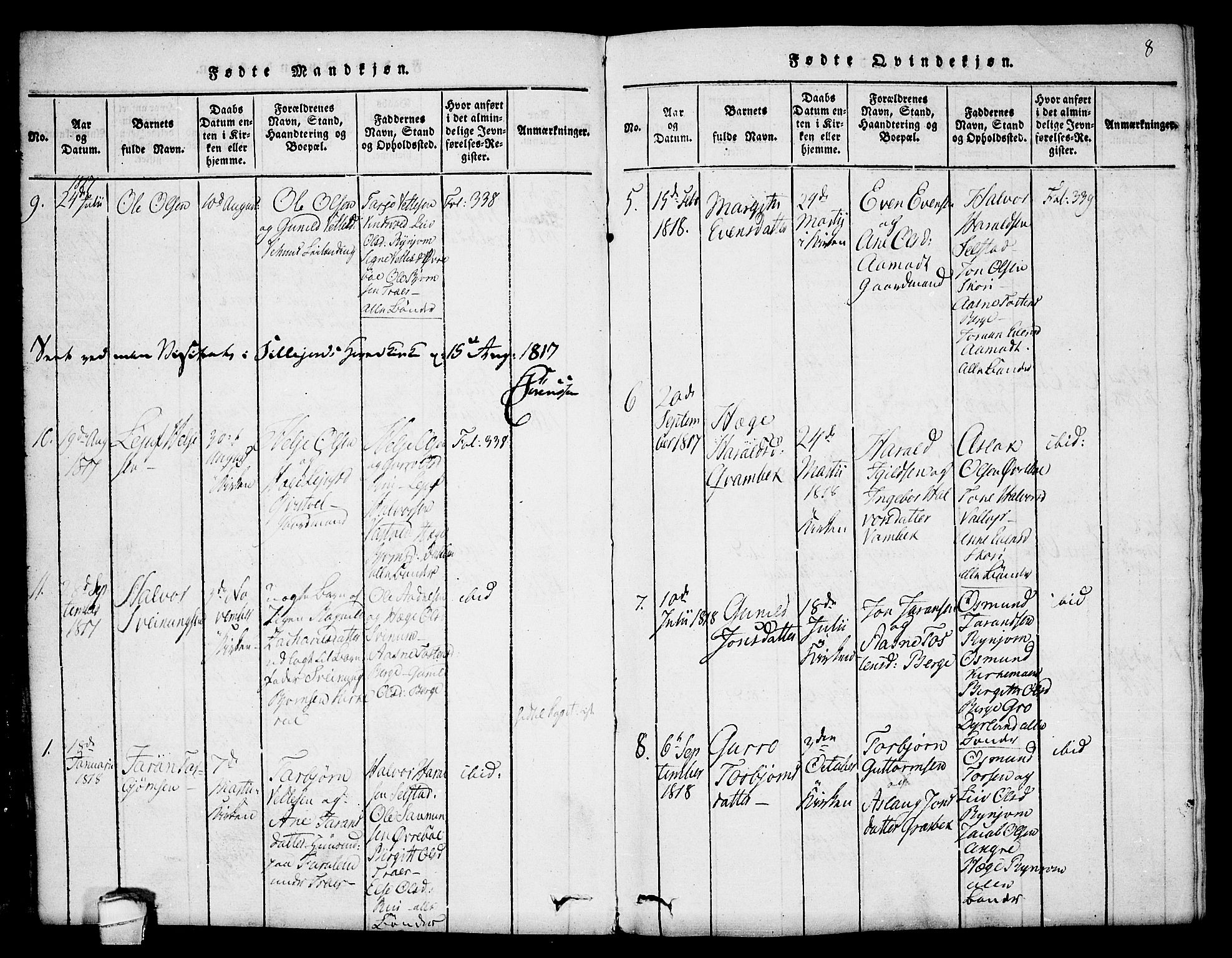 Seljord kirkebøker, SAKO/A-20/F/Fc/L0001: Parish register (official) no. III 1, 1815-1831, p. 8