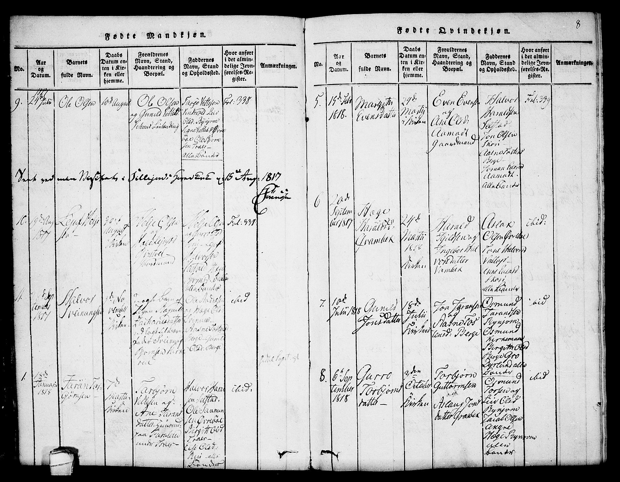 Seljord kirkebøker, AV/SAKO-A-20/F/Fc/L0001: Parish register (official) no. III 1, 1815-1831, p. 8