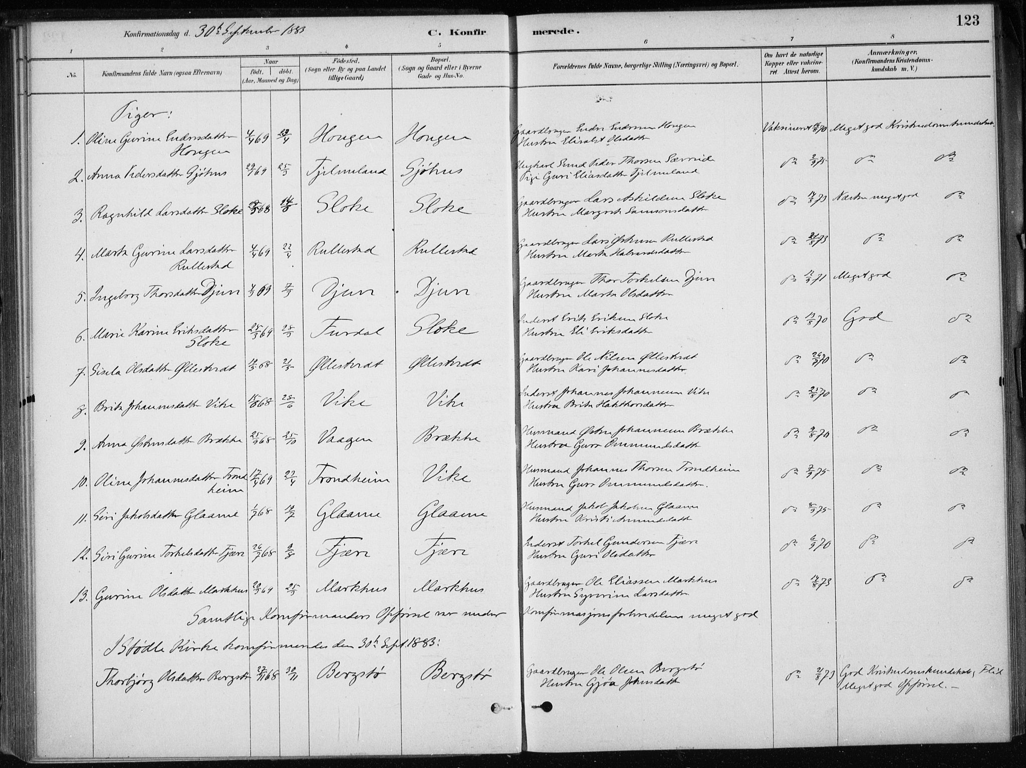 Skånevik sokneprestembete, AV/SAB-A-77801/H/Haa: Parish register (official) no. E  1, 1879-1901, p. 123