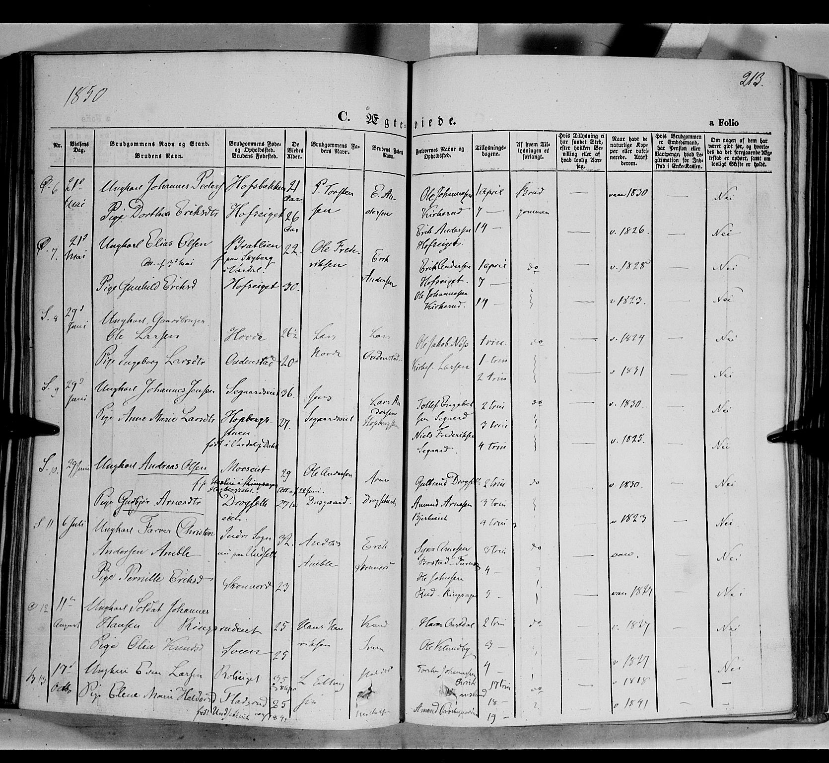 Biri prestekontor, AV/SAH-PREST-096/H/Ha/Haa/L0005: Parish register (official) no. 5, 1843-1854, p. 213